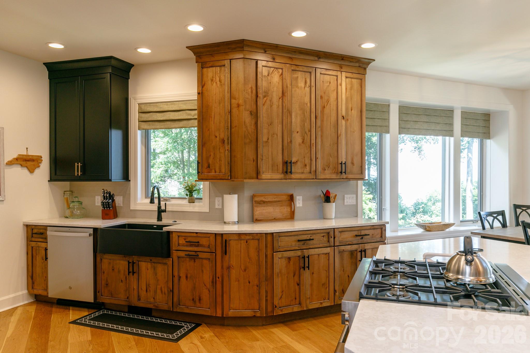 410 Springhouse Drive — Burnsville