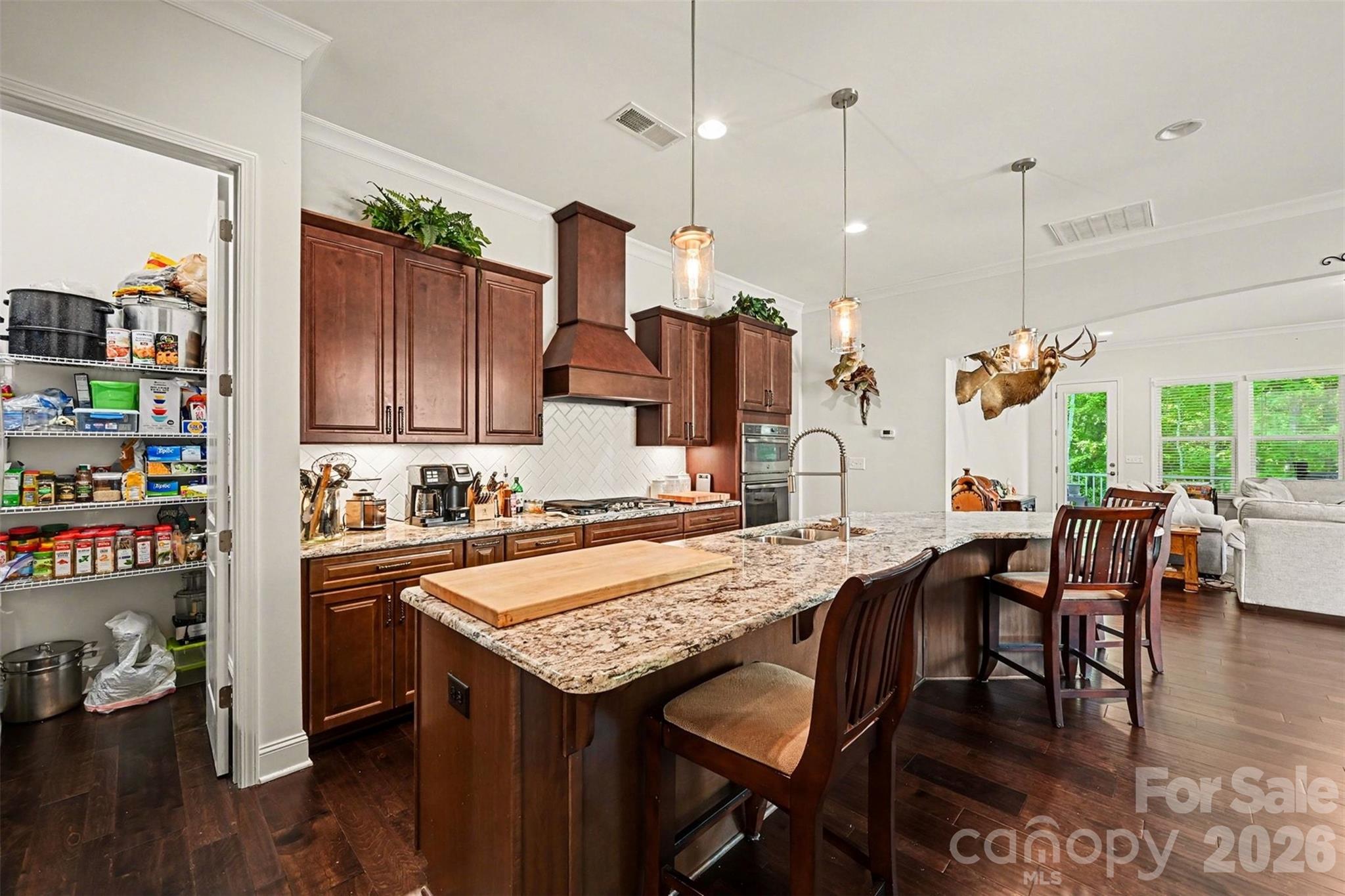 1033 Moonlight Mist Road — Belmont