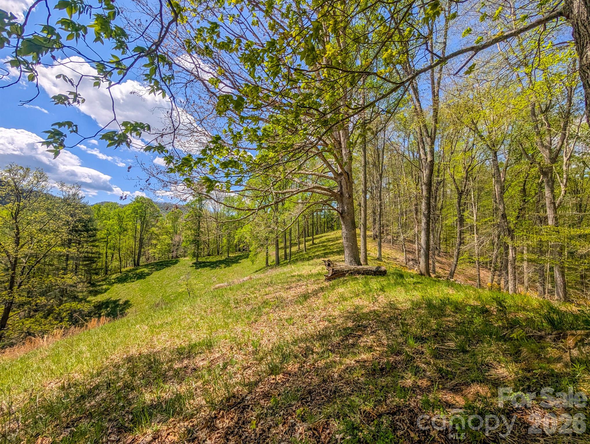 572 Pleasant Valley Road — Burnsville