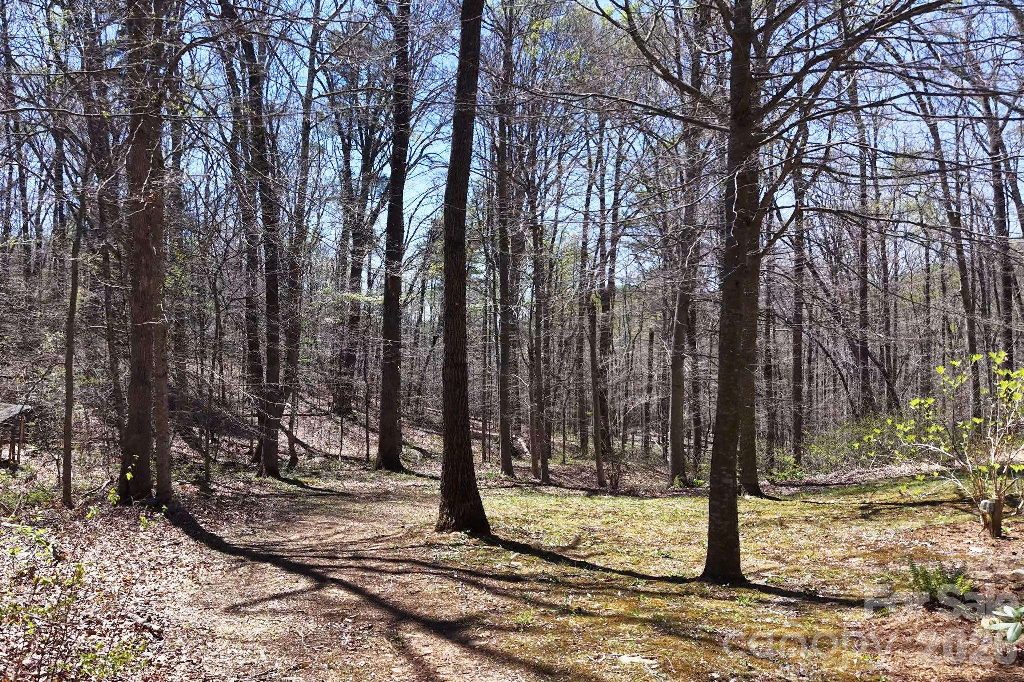 257 Jones Cove Road — Asheville