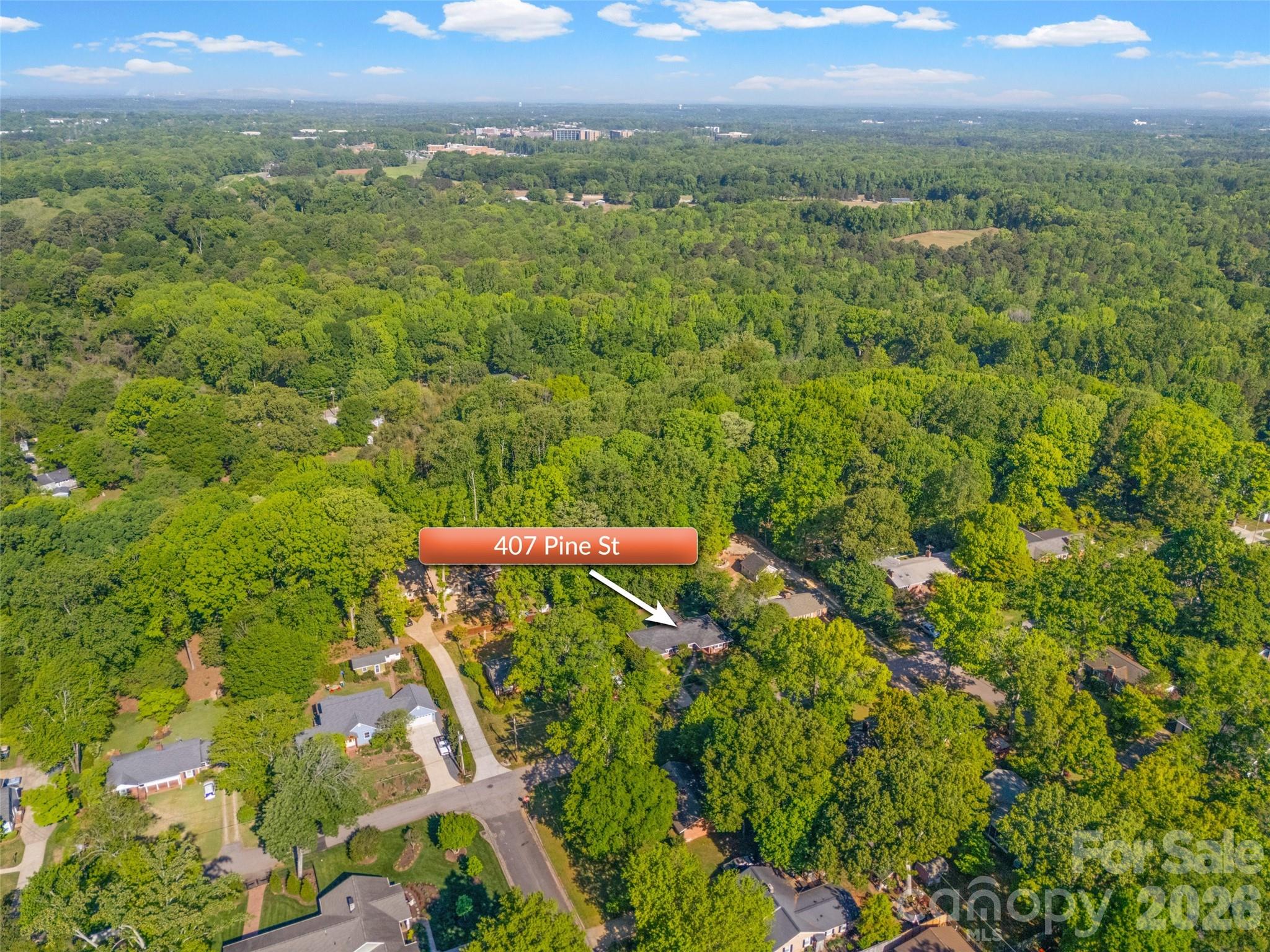 407 Pine Street — Fort Mill