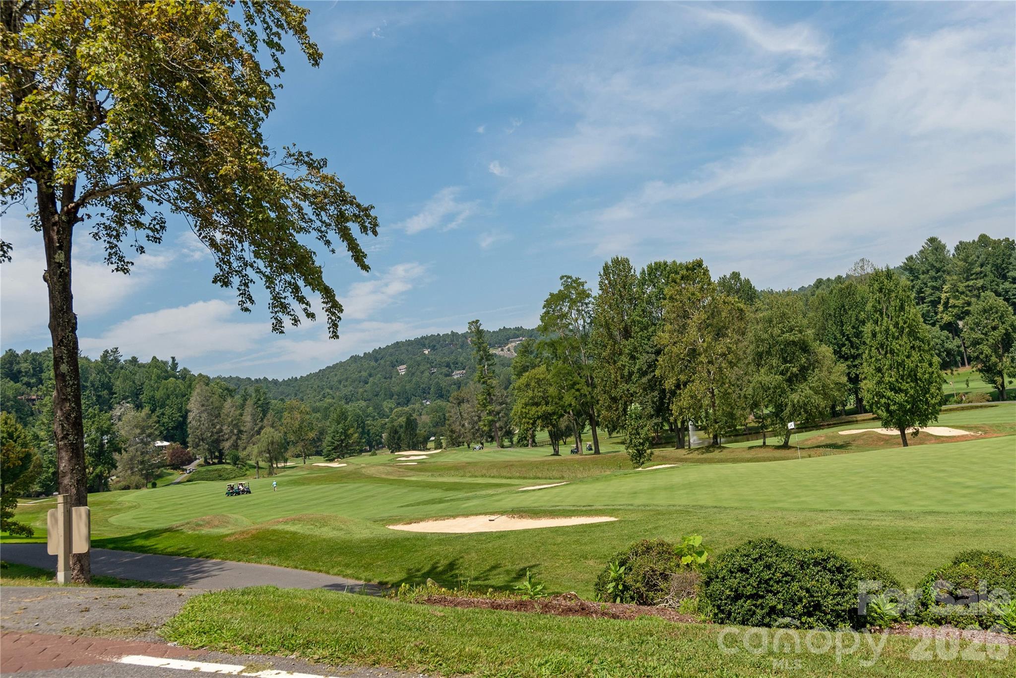 508 Cobblestone Lane — Flat Rock