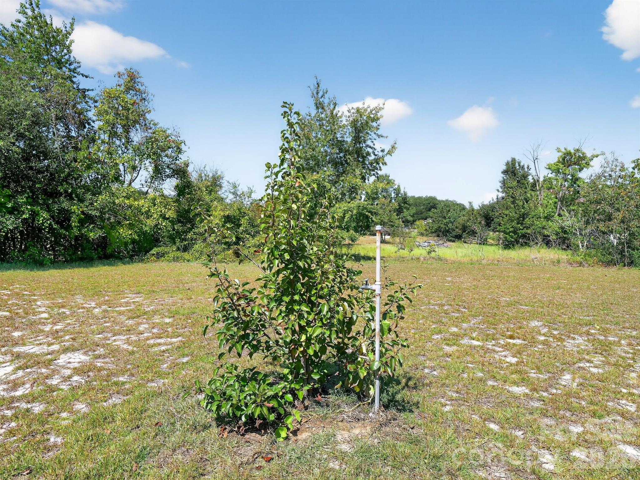 1035 Mcmillan Road — Cheraw