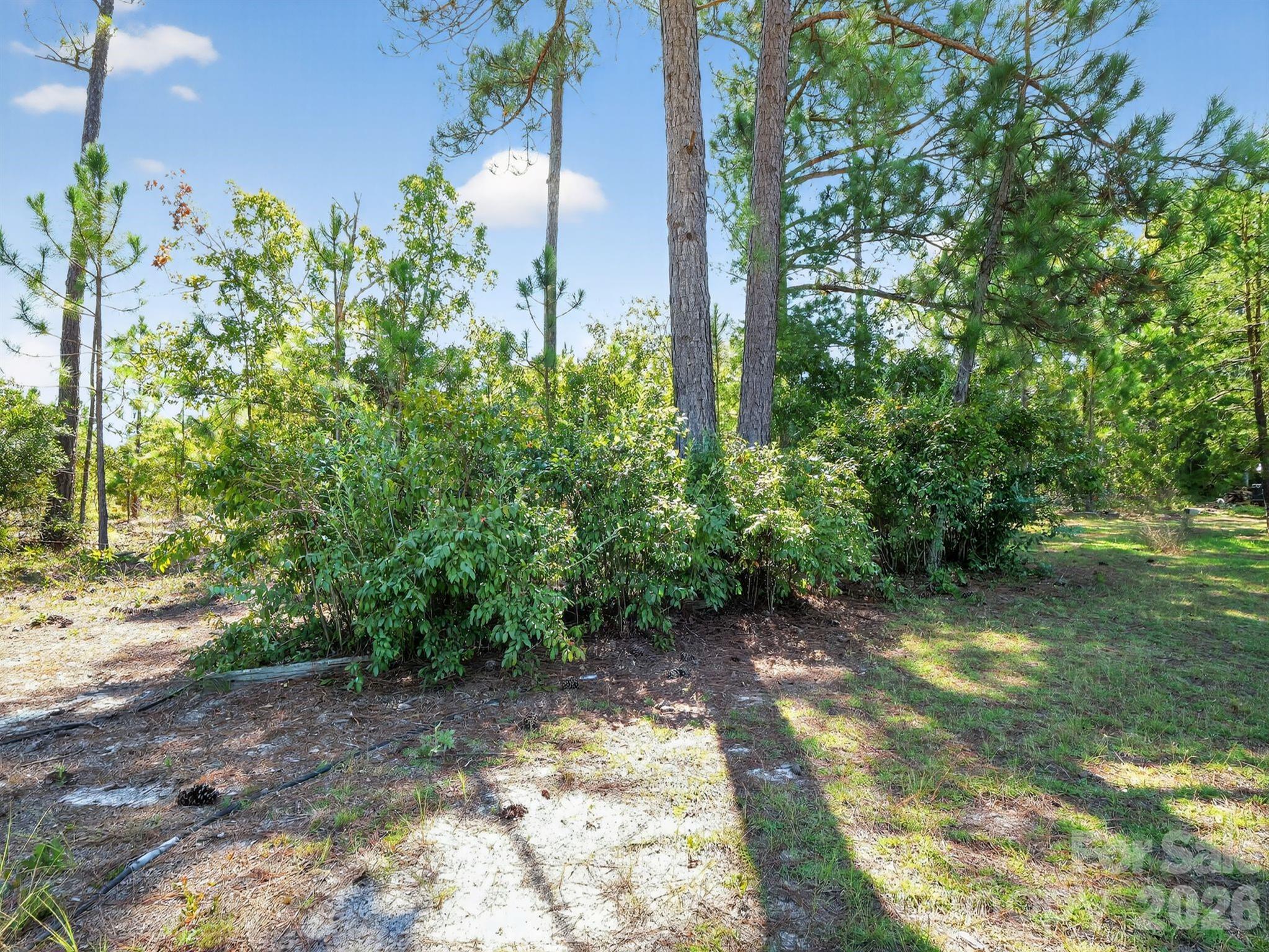 1035 Mcmillan Road — Cheraw