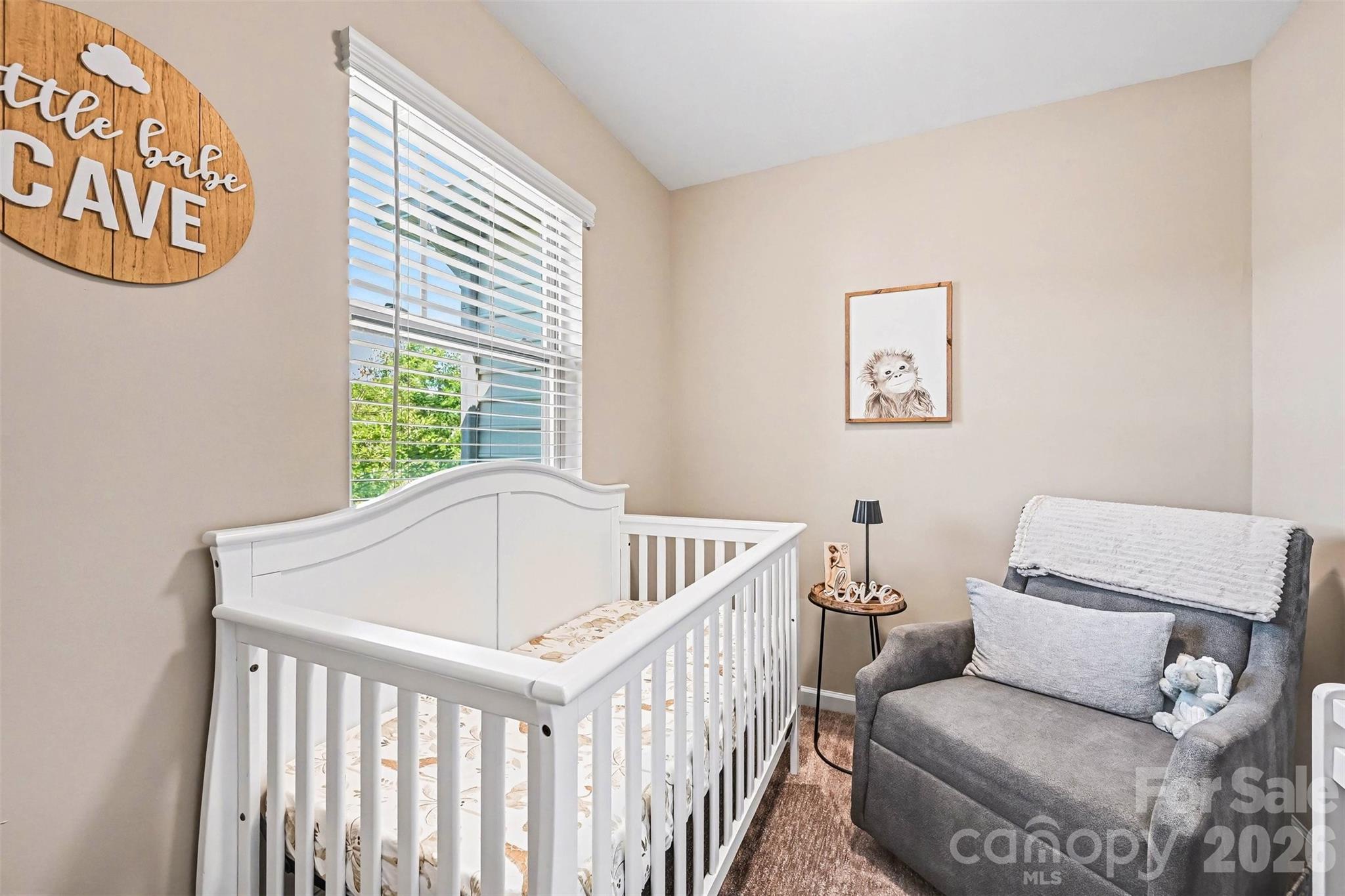 509 Common Raven Court — Fort Mill