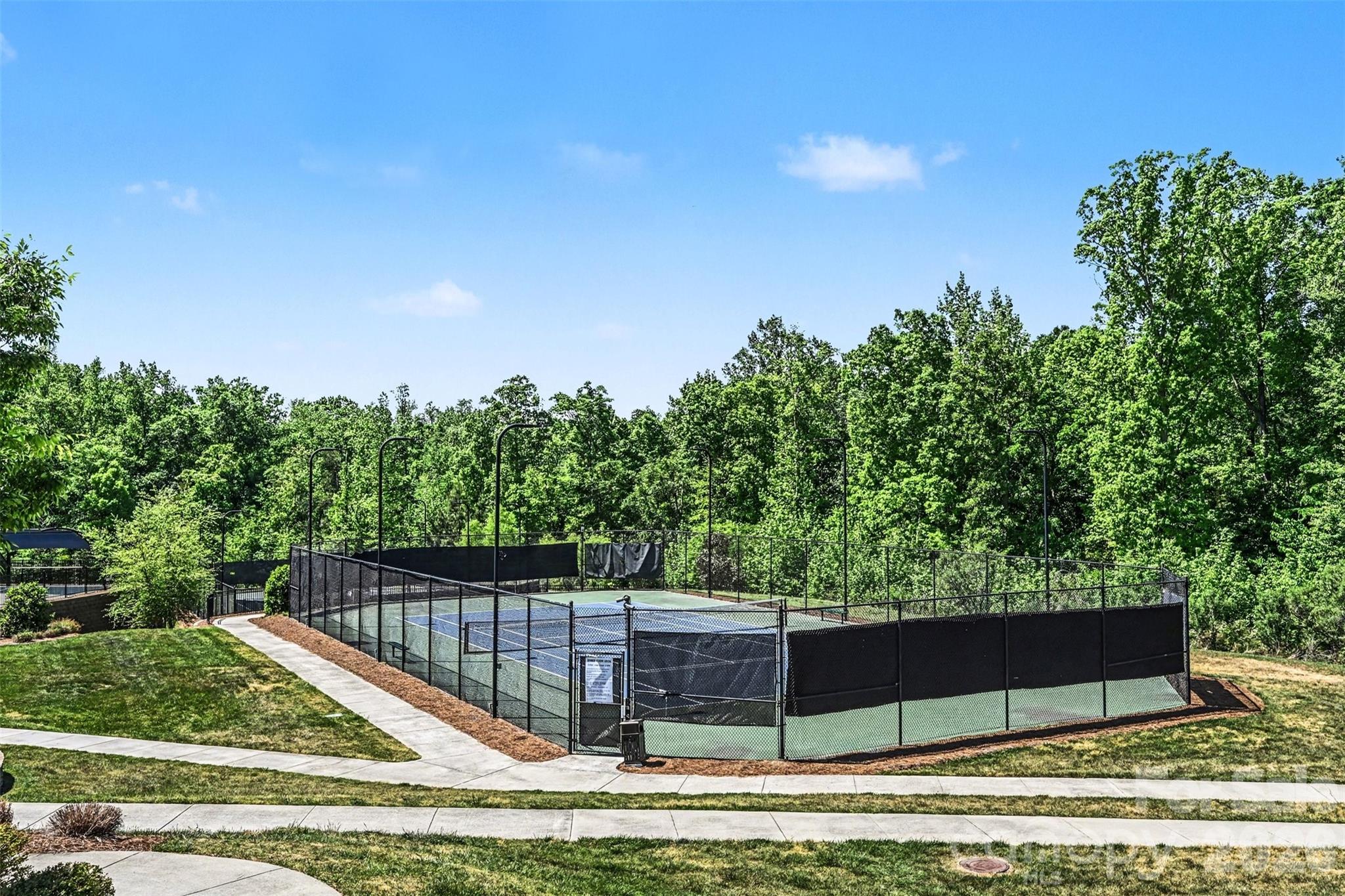 509 Common Raven Court — Fort Mill