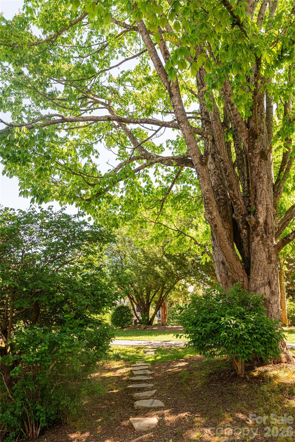 132 Appeldoorn Circle — Asheville