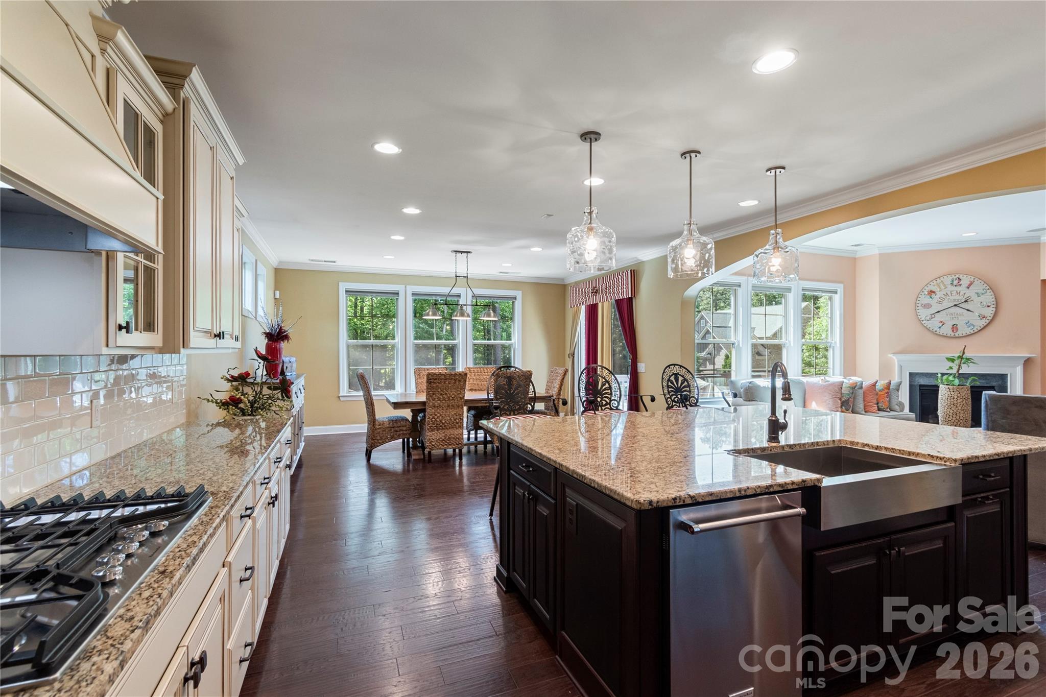 16402 Doves Canyon Lane — Charlotte