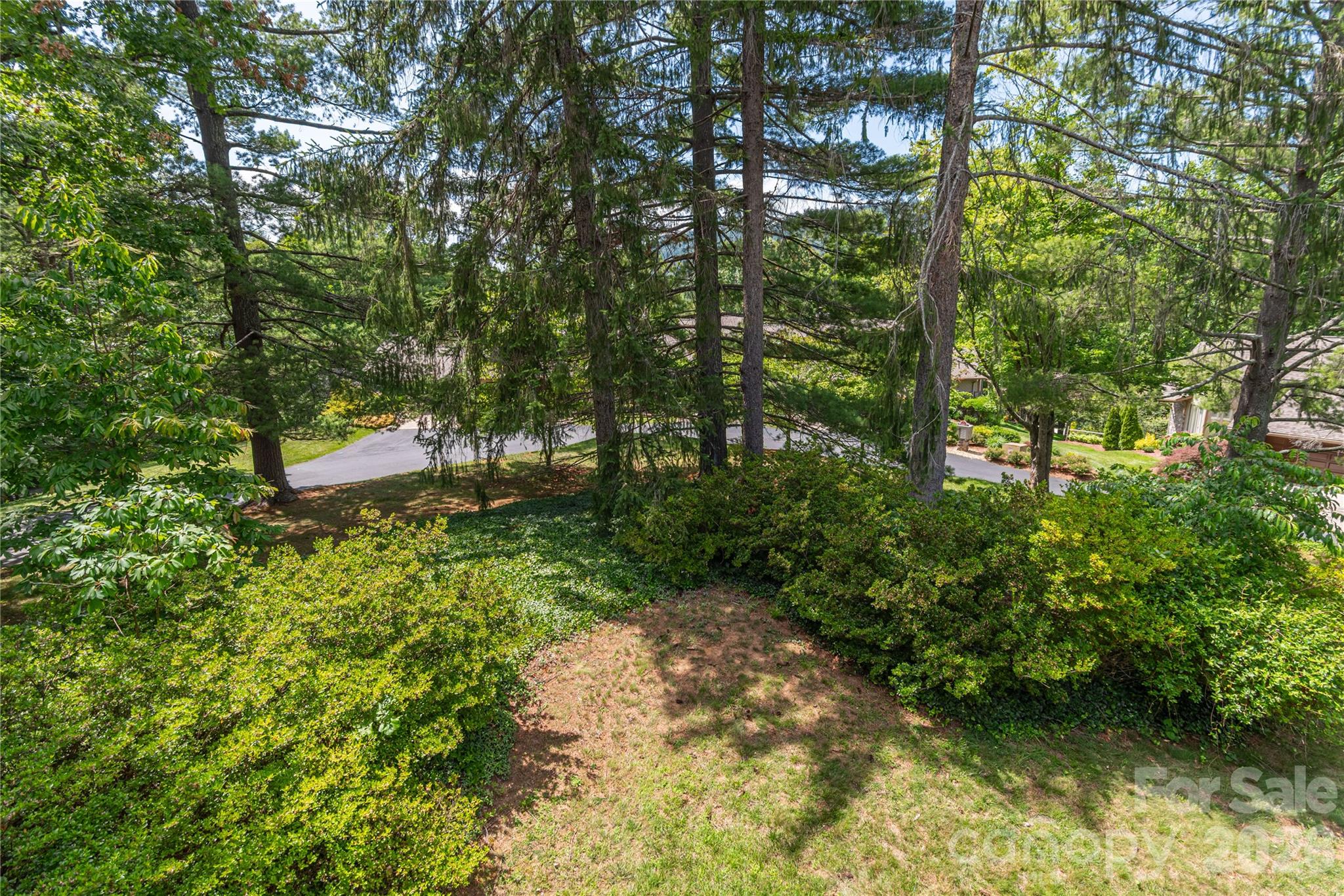1101 Timber Trail — Asheville