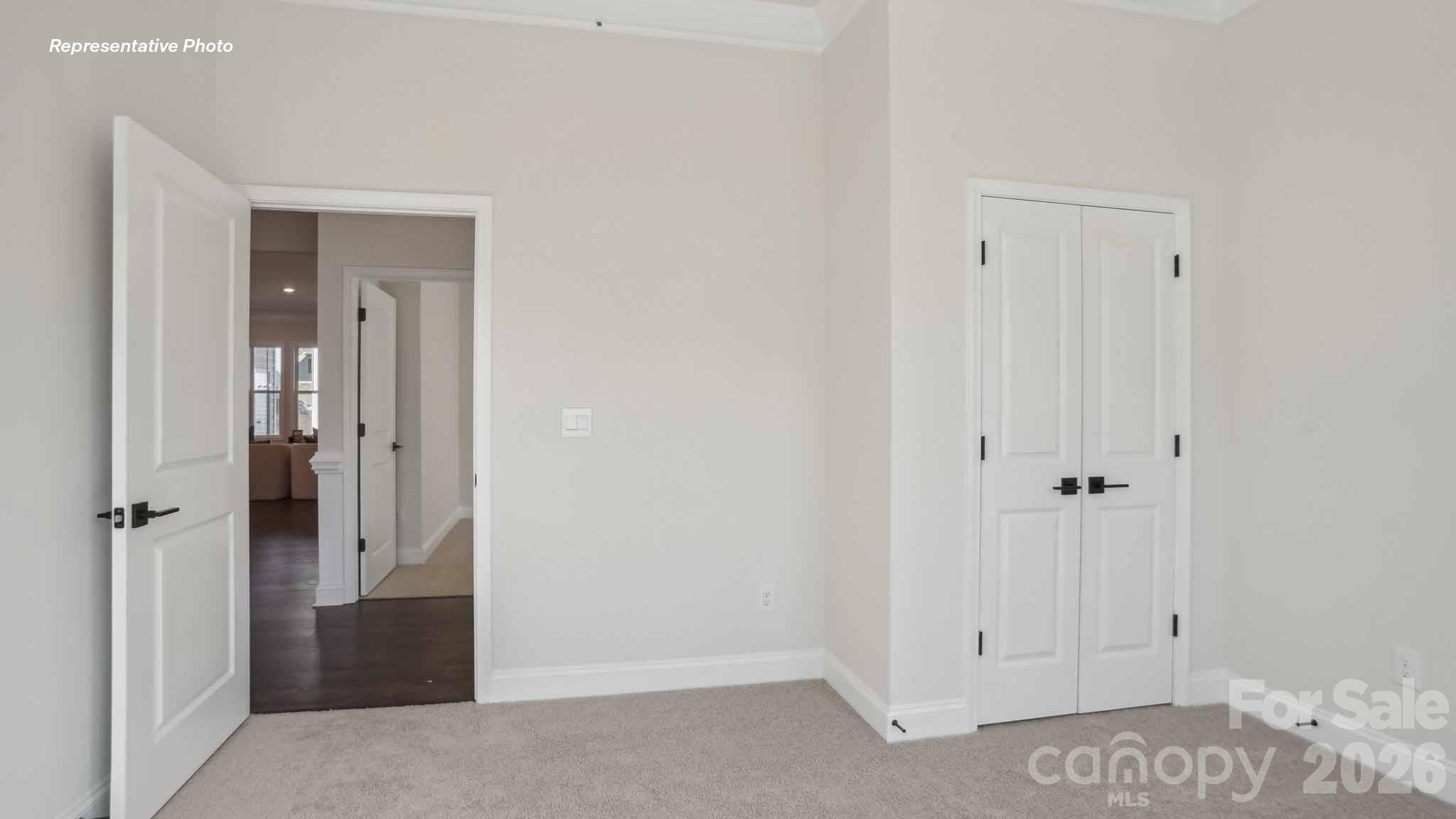 1007 Tundra Swan Drive — Indian Trail