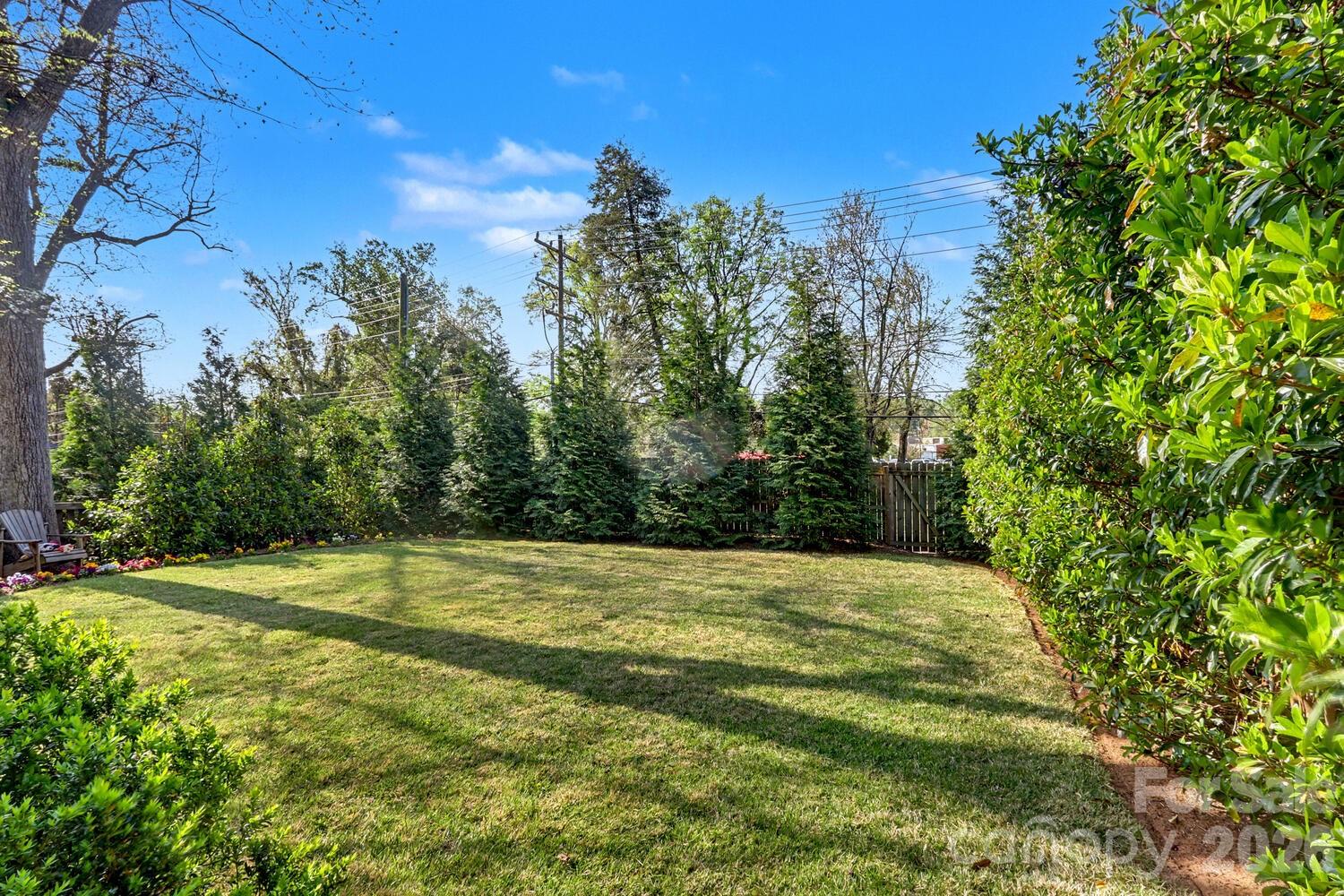 2317 Charlotte Drive — Charlotte