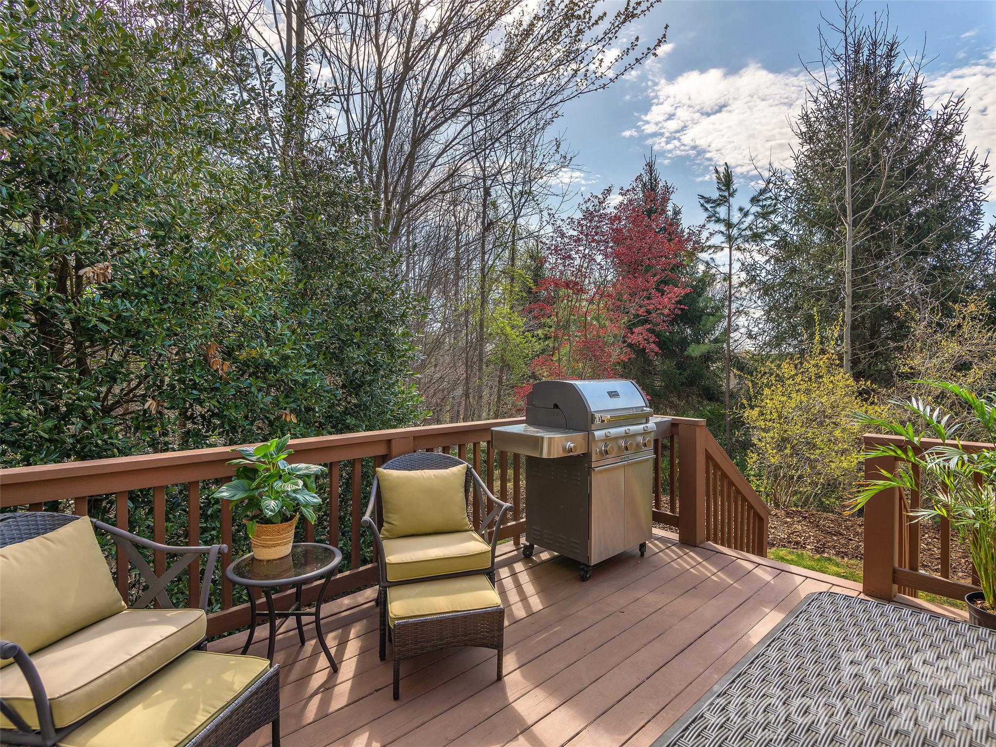 1672 Olmsted Drive — Asheville