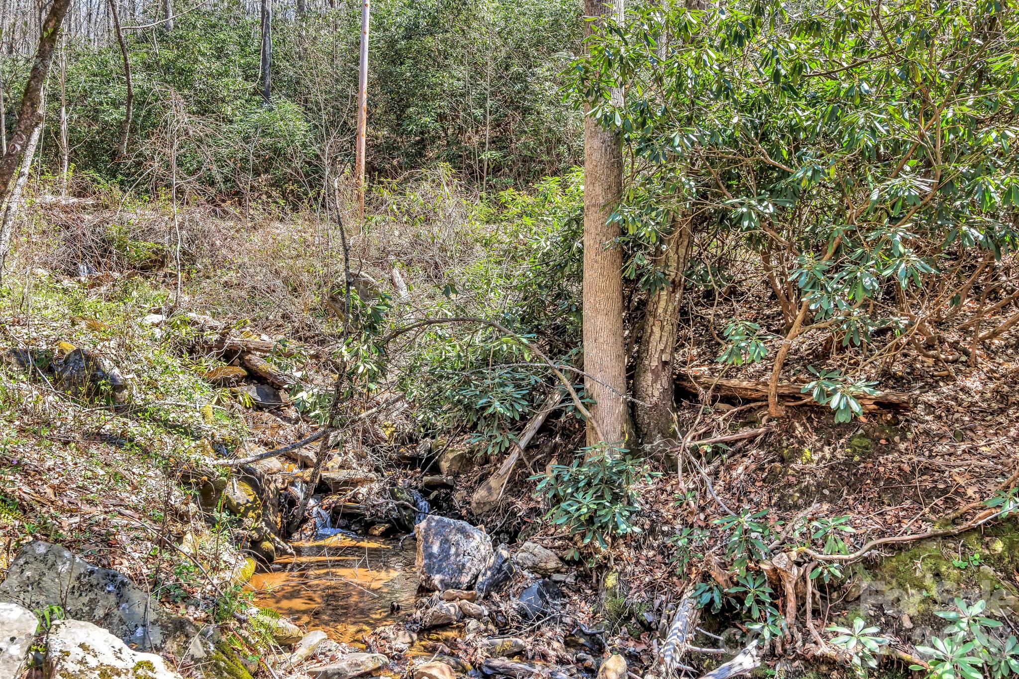 1100 Panther Branch Road — Canton