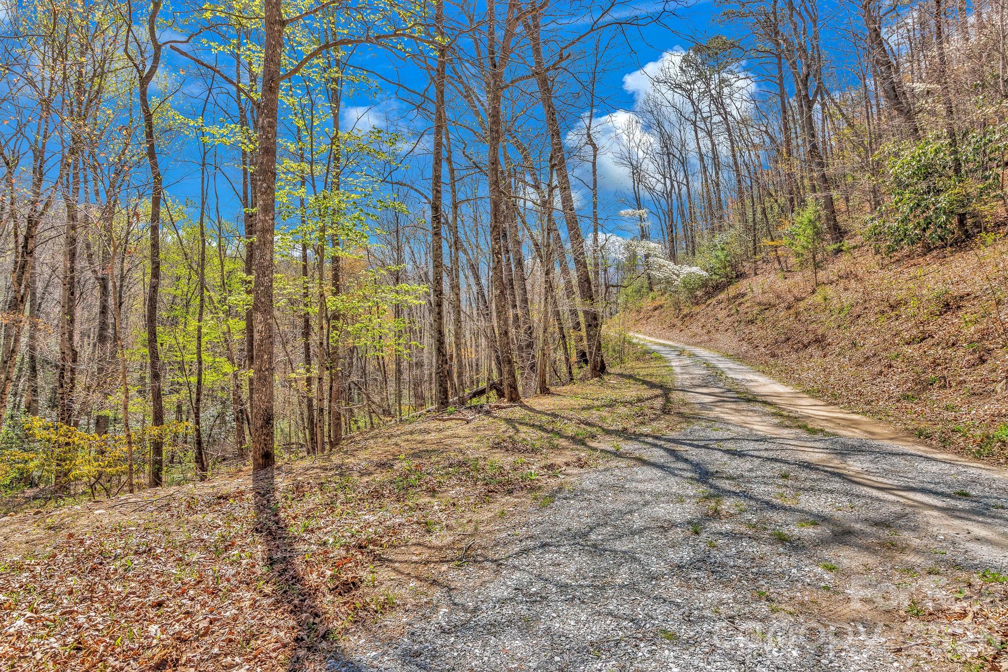 1100 Panther Branch Road — Canton