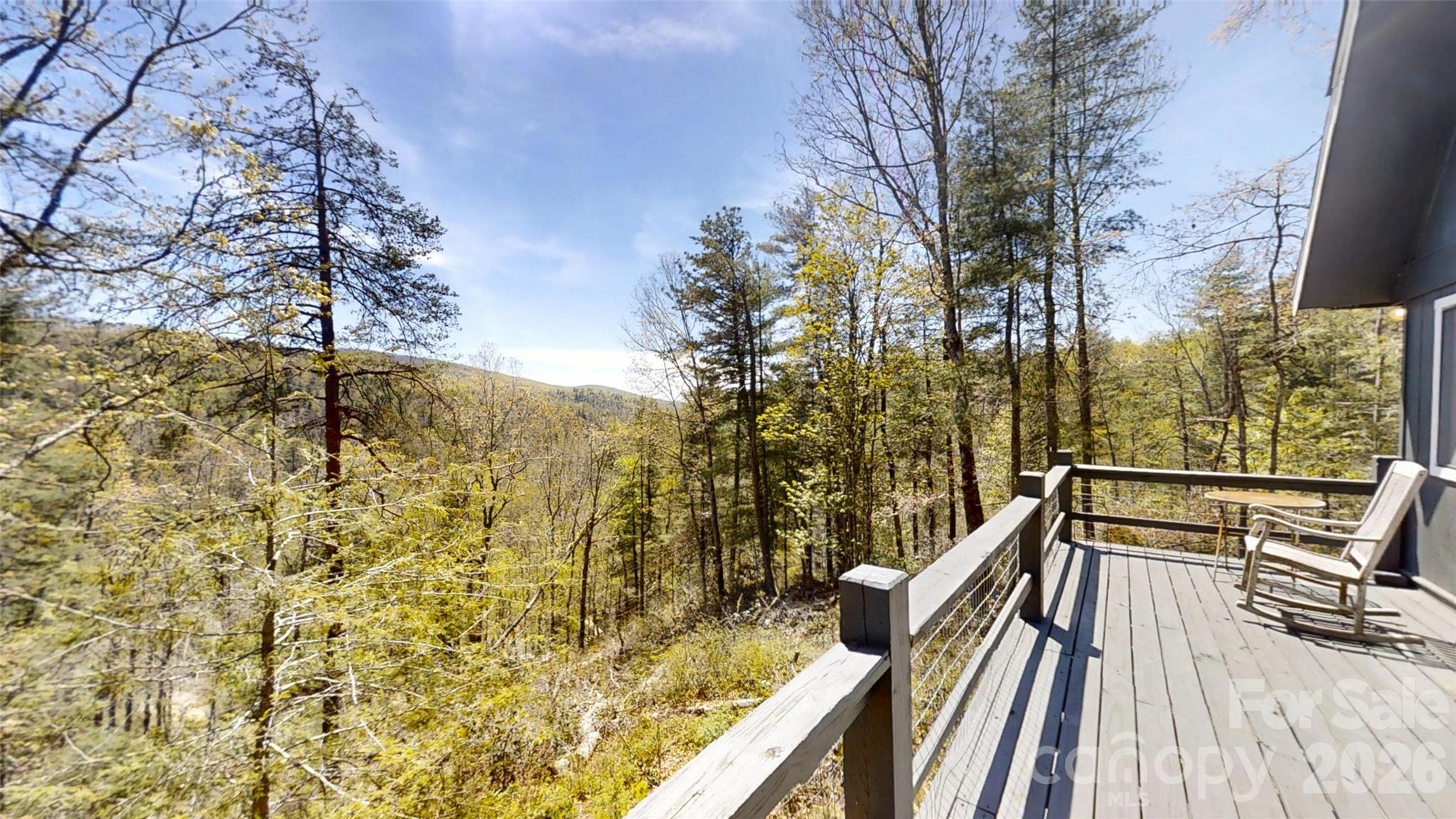 321 Doris Lisa View Drive — Hendersonville