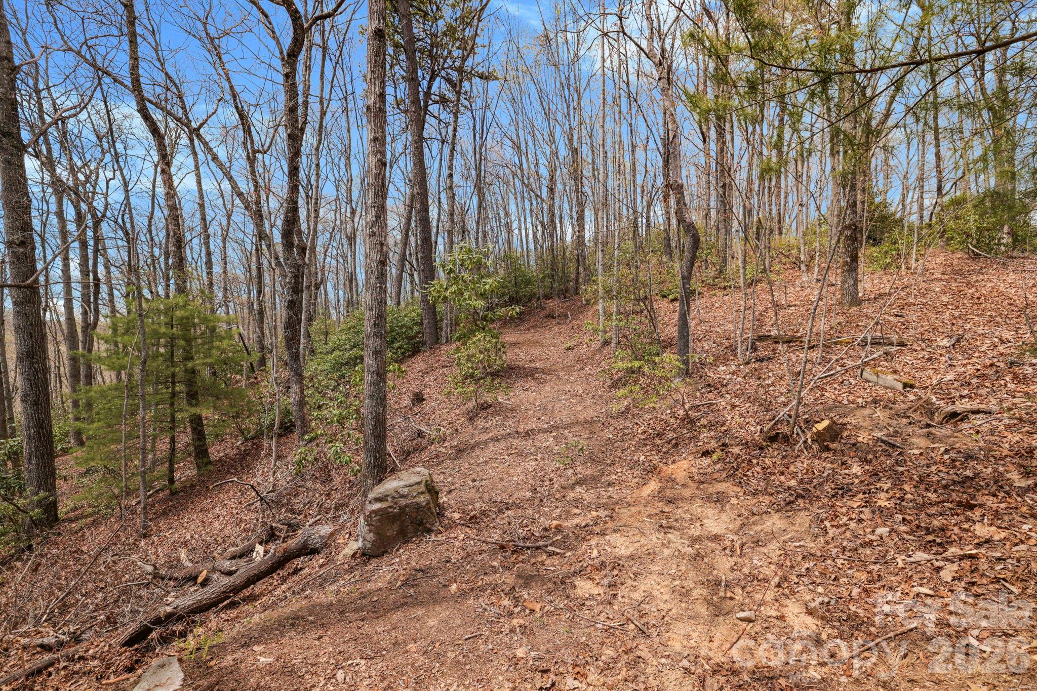 305 Stamey Creek Road — Brevard