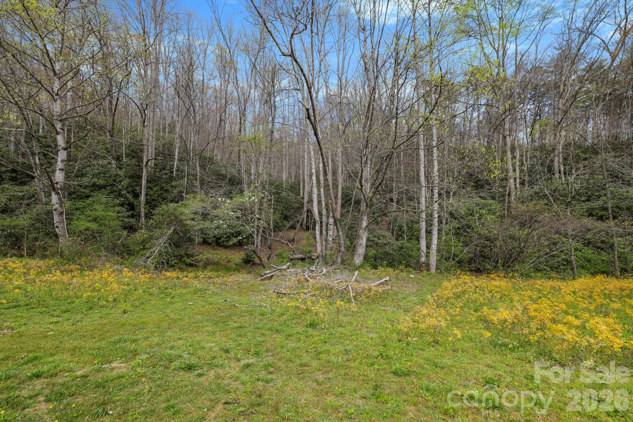 305 Stamey Creek Road — Brevard