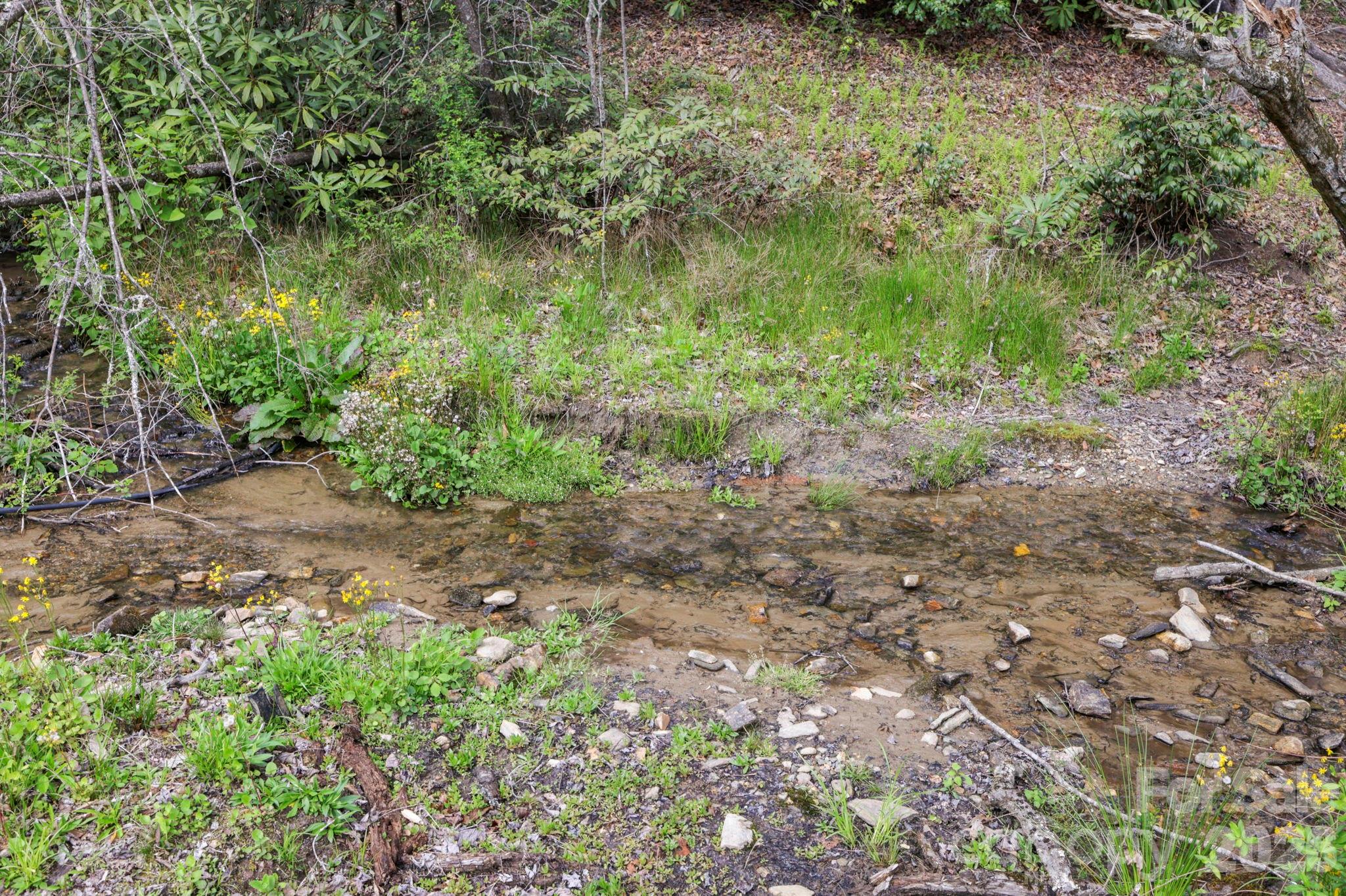 305 Stamey Creek Road — Brevard