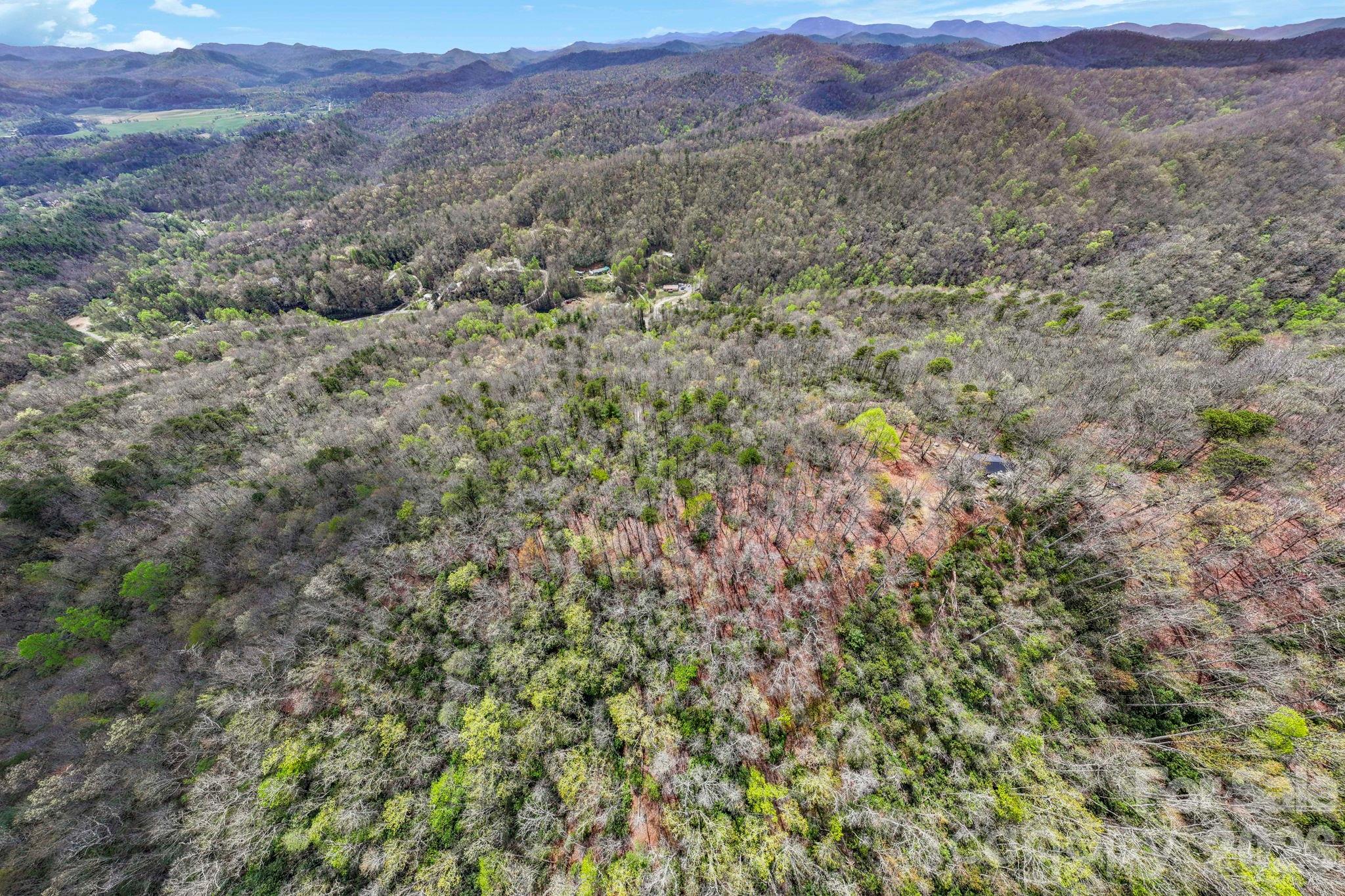 305 Stamey Creek Road — Brevard