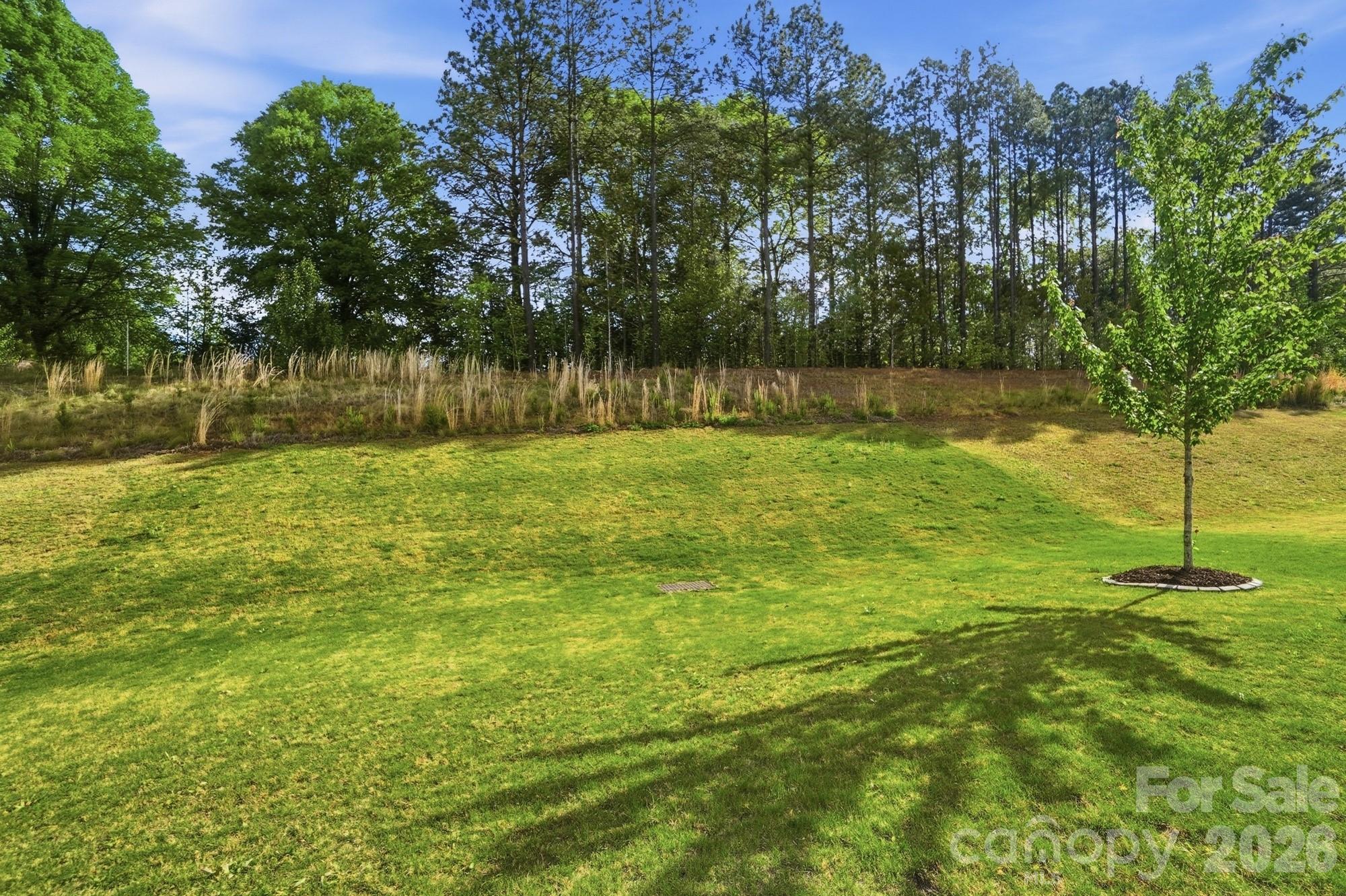 116 Timbergreen Court — Troutman