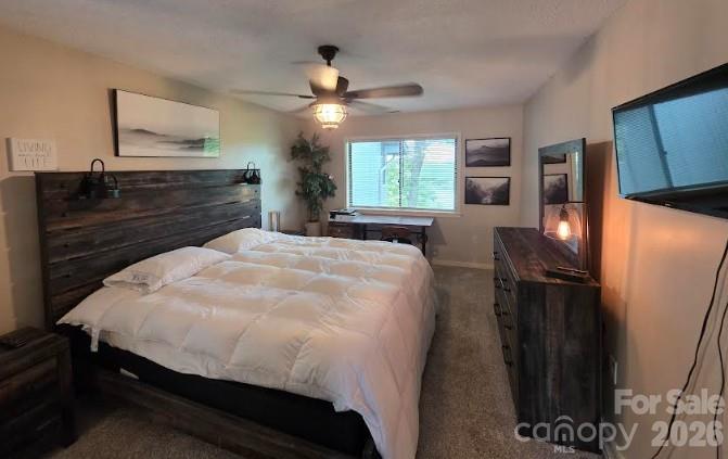 283 Tinequa Drive — Brevard