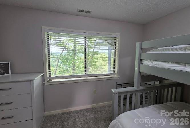 283 Tinequa Drive — Brevard