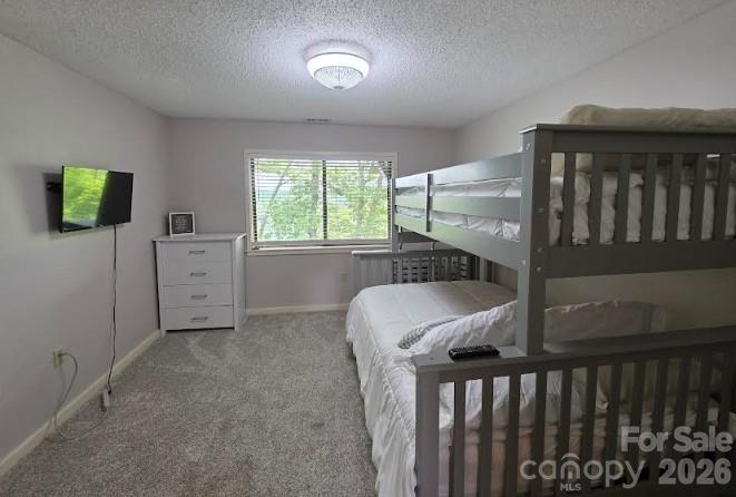 283 Tinequa Drive — Brevard