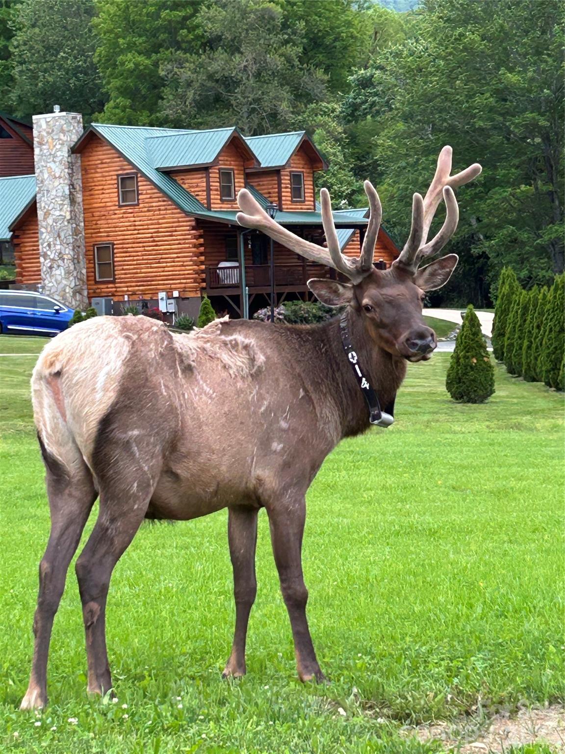 10 Onyx Lane — Maggie Valley