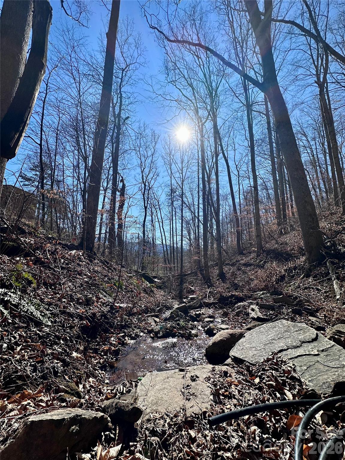 224 Riddle Road — Swannanoa