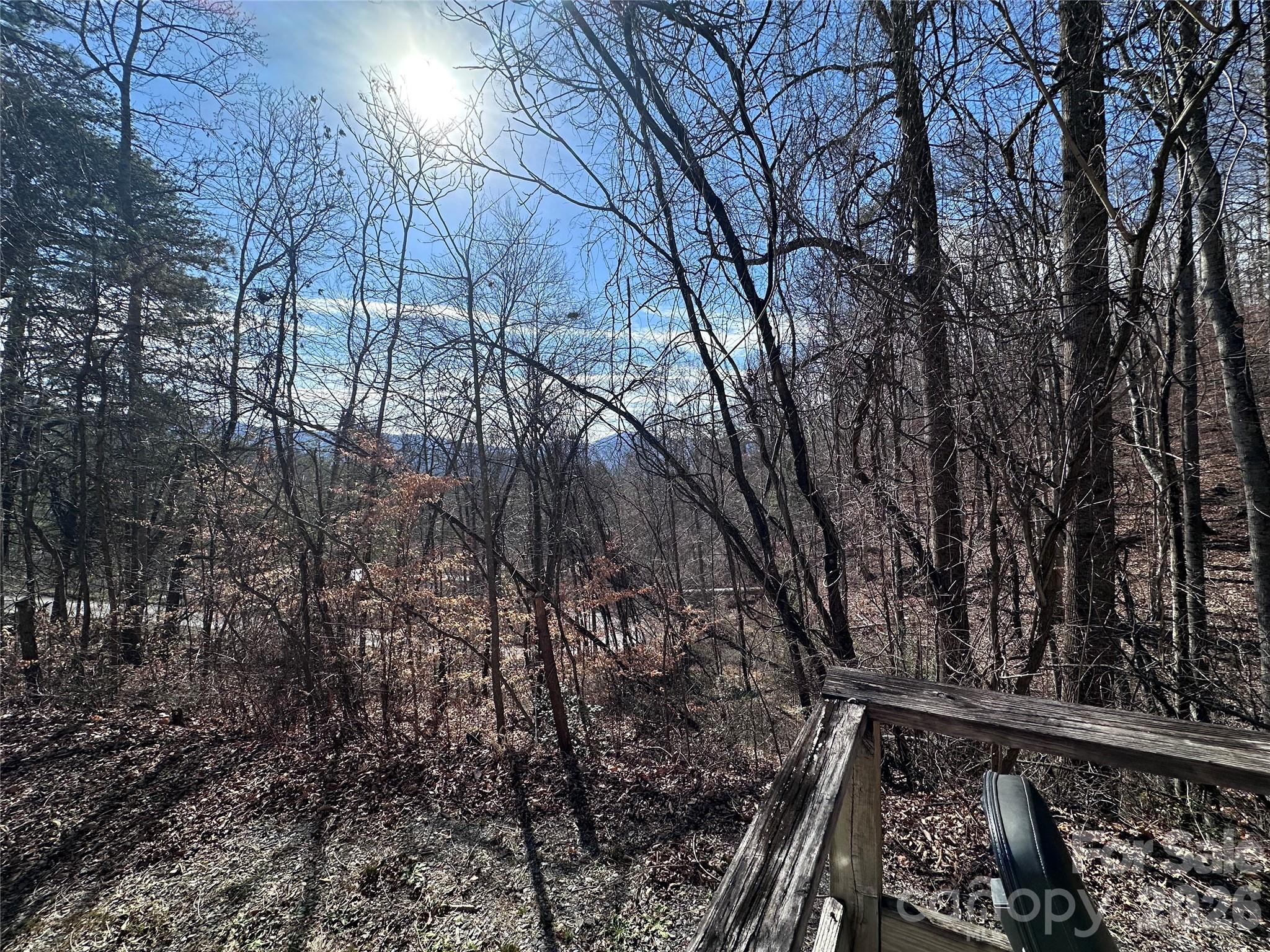 224 Riddle Road — Swannanoa