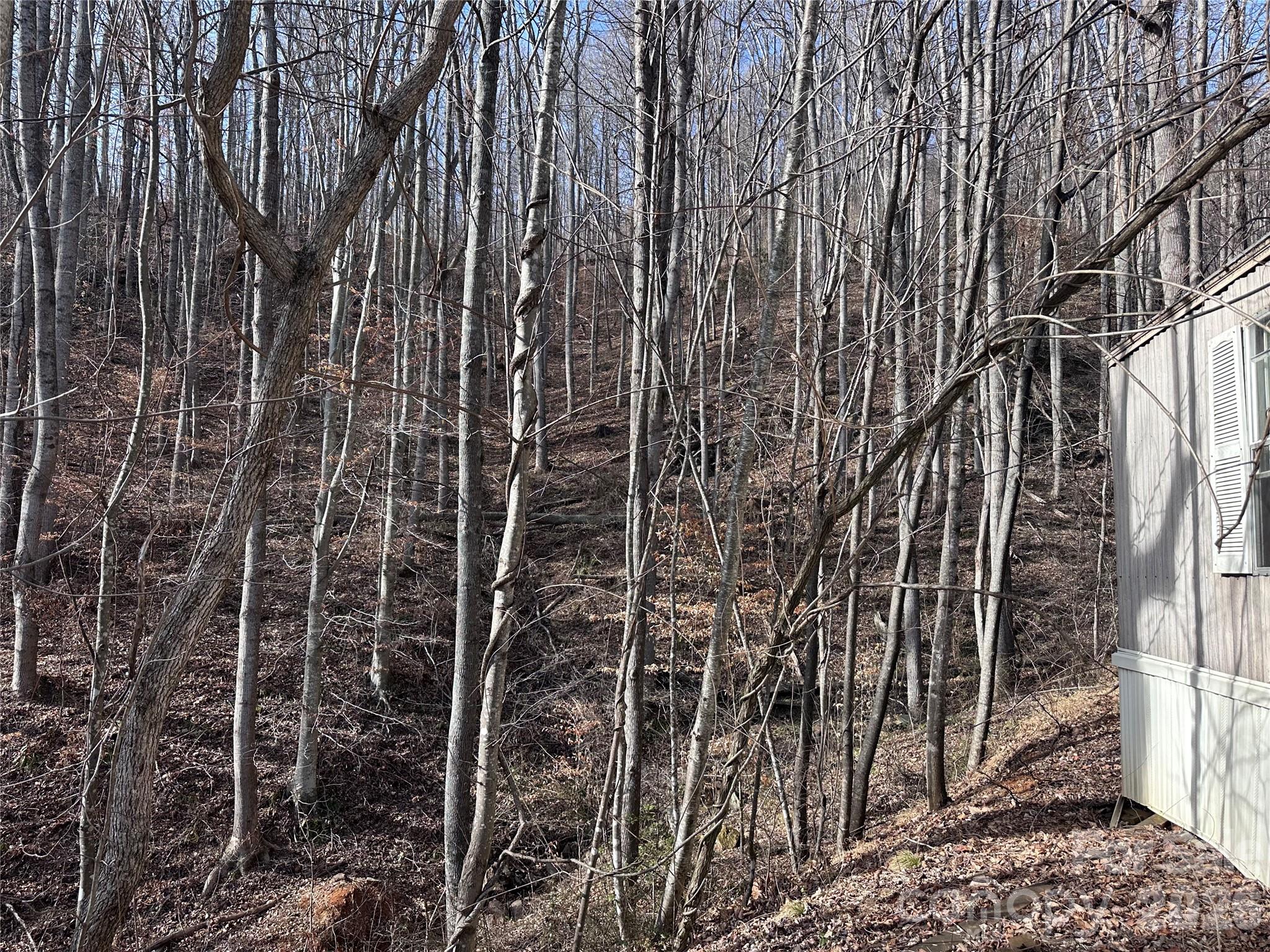 224 Riddle Road — Swannanoa