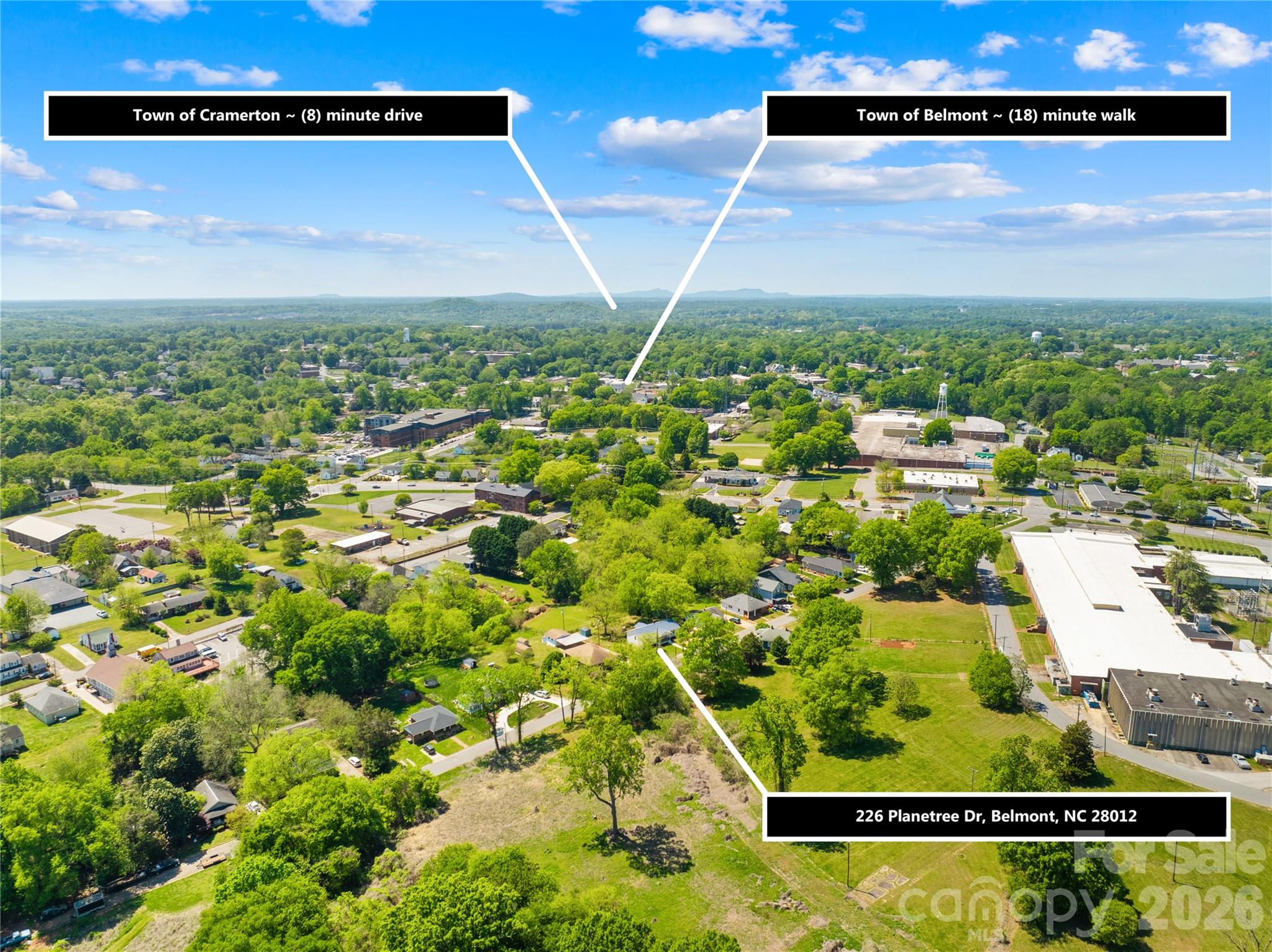 226 Planetree Drive — Belmont