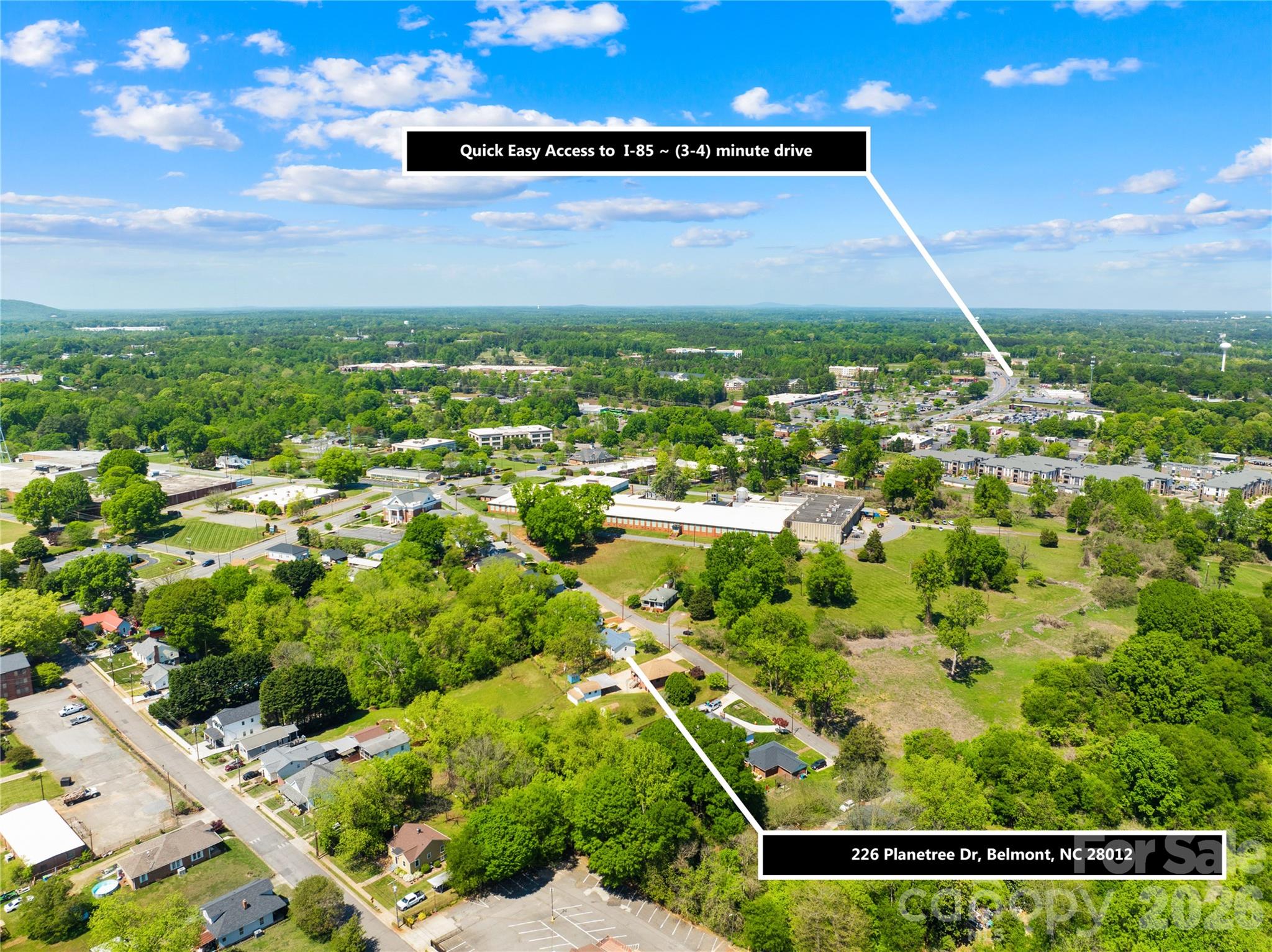 226 Planetree Drive — Belmont