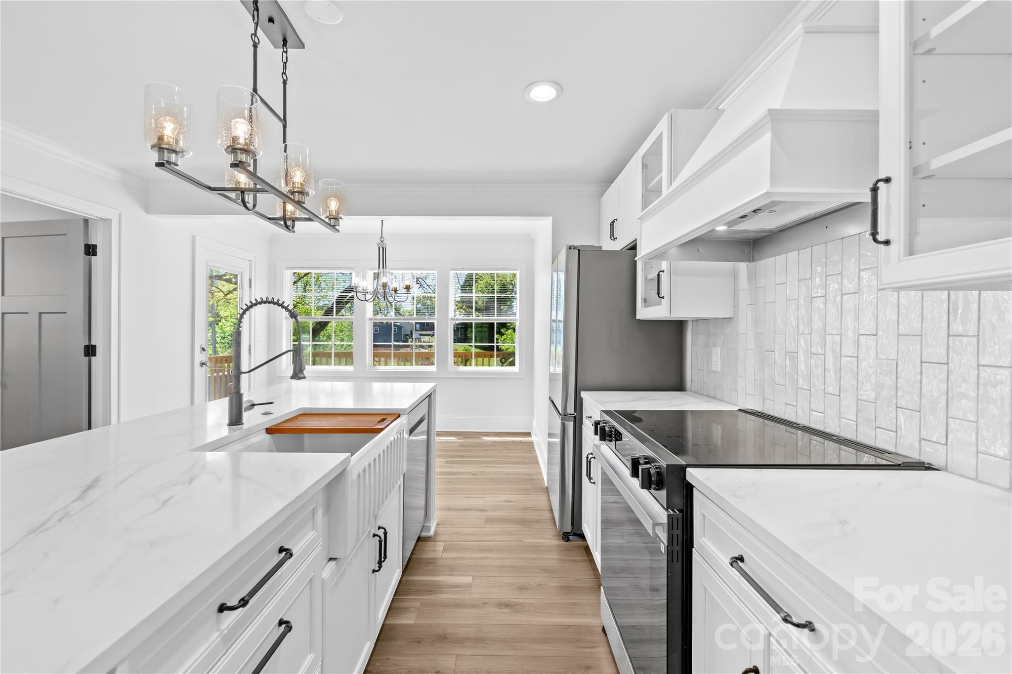 226 Planetree Drive — Belmont