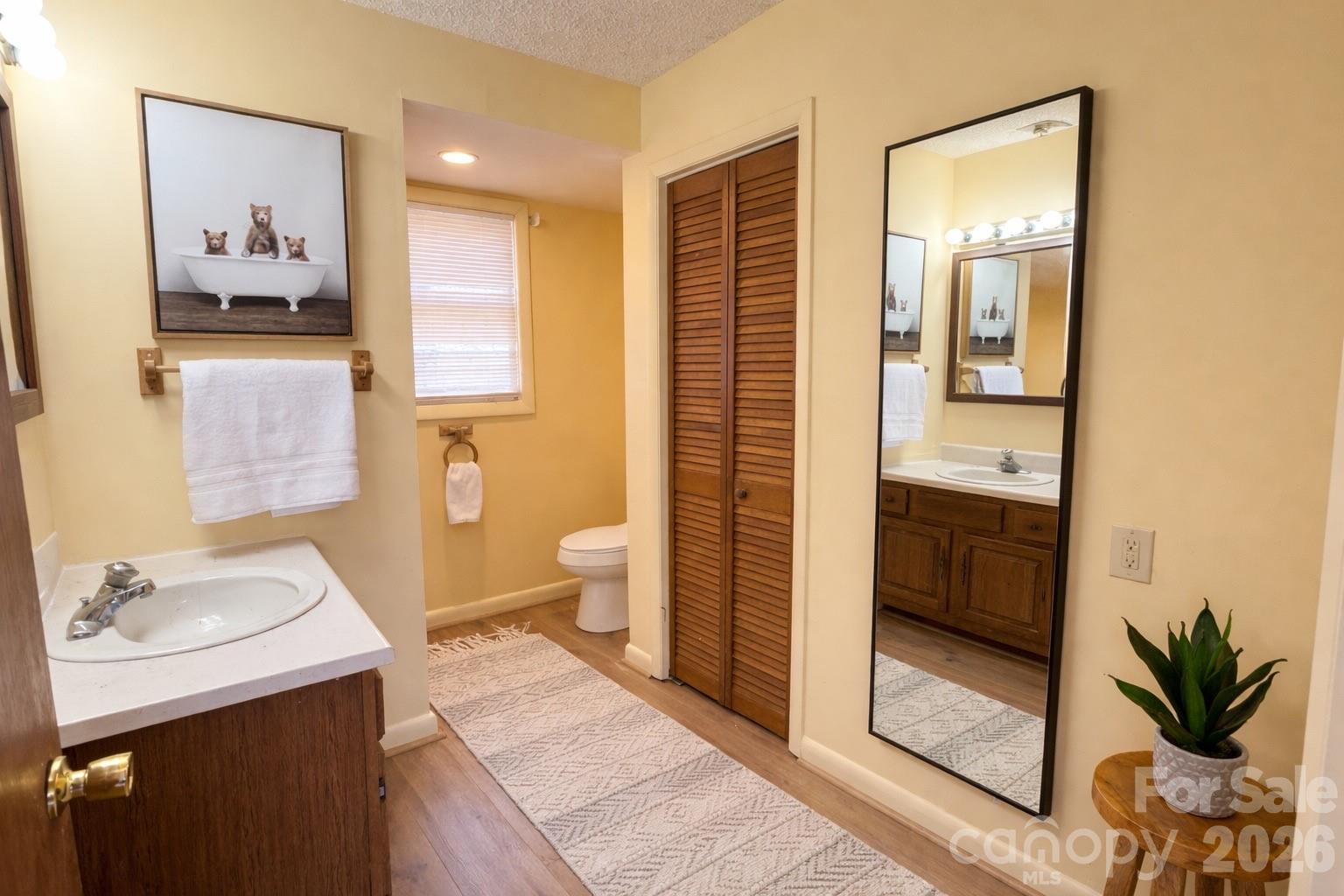 1511 Water Wheel Cove — Clyde
