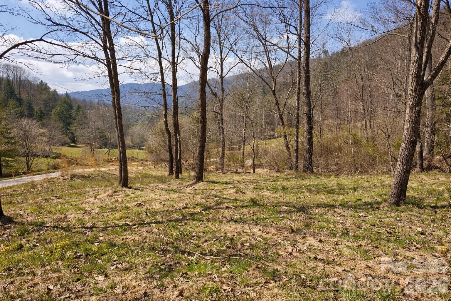 1511 Water Wheel Cove — Clyde