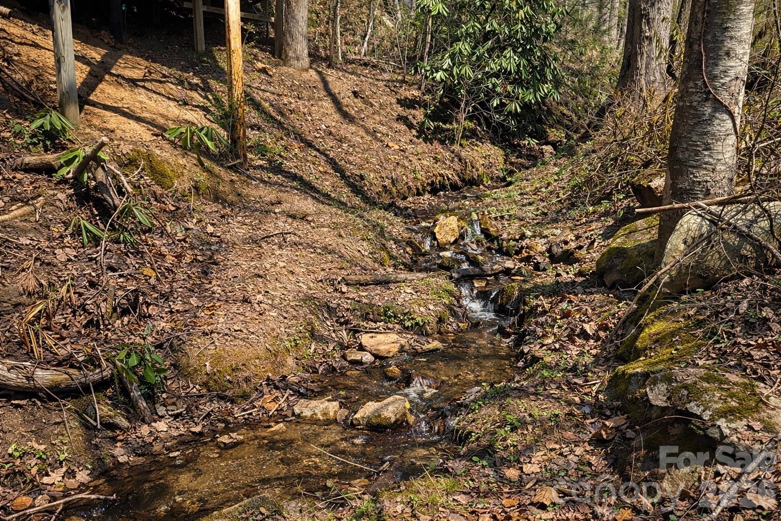 1511 Water Wheel Cove — Clyde