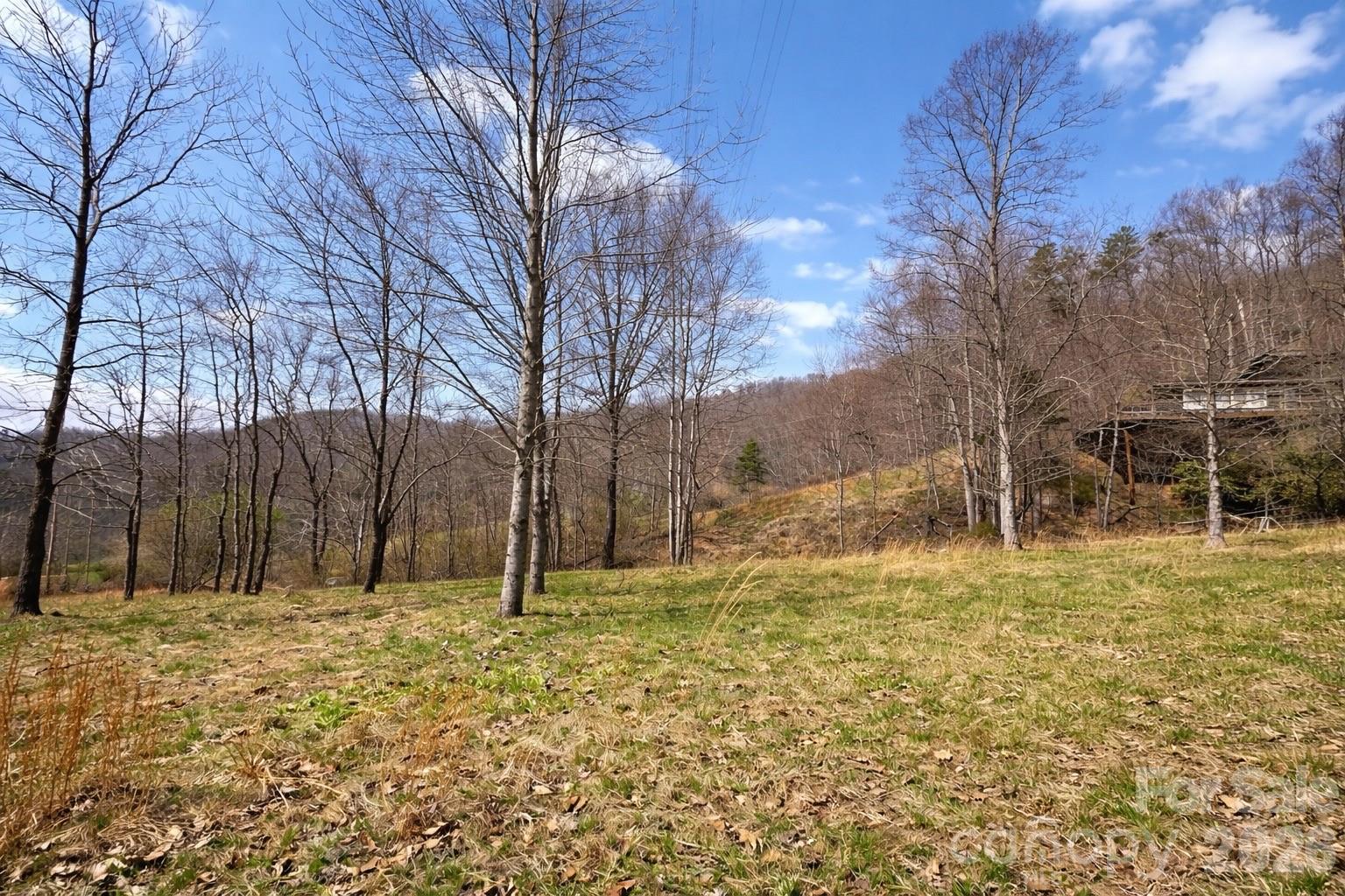 1511 Water Wheel Cove — Clyde