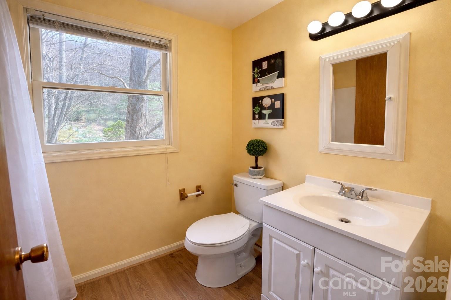 1511 Water Wheel Cove — Clyde