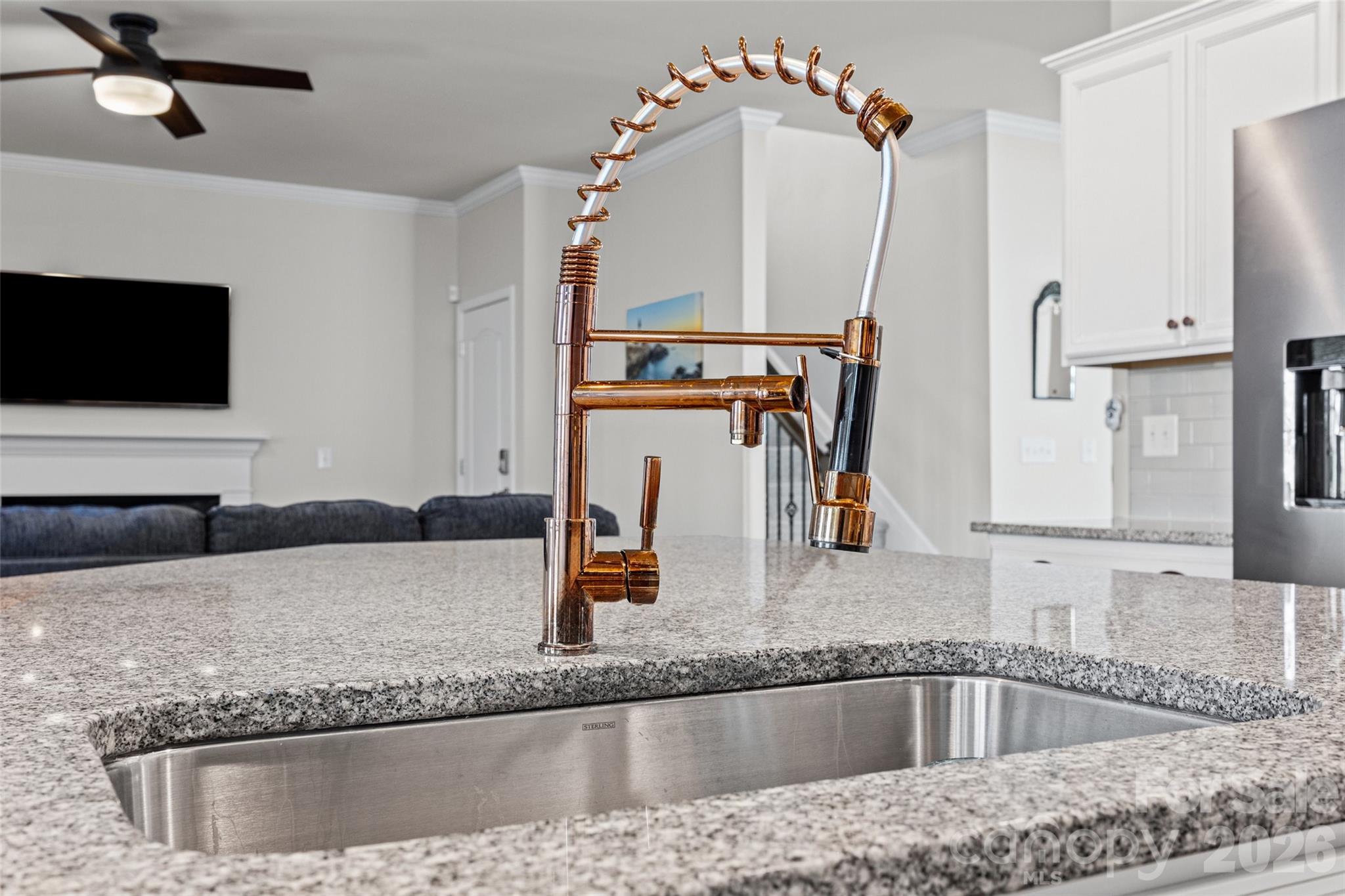 16815 Lookout Landing Lane — Charlotte