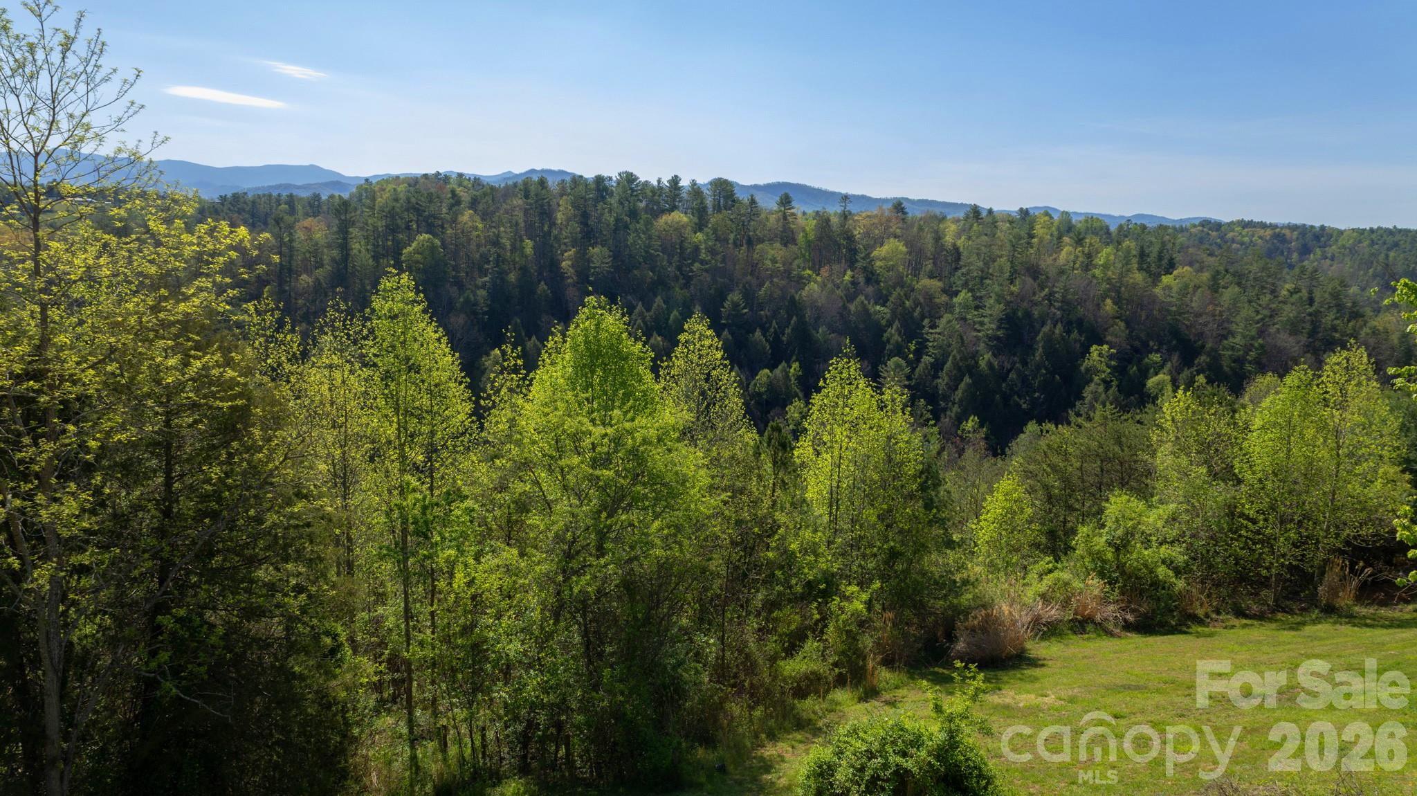 100 Bend View Drive — Marshall