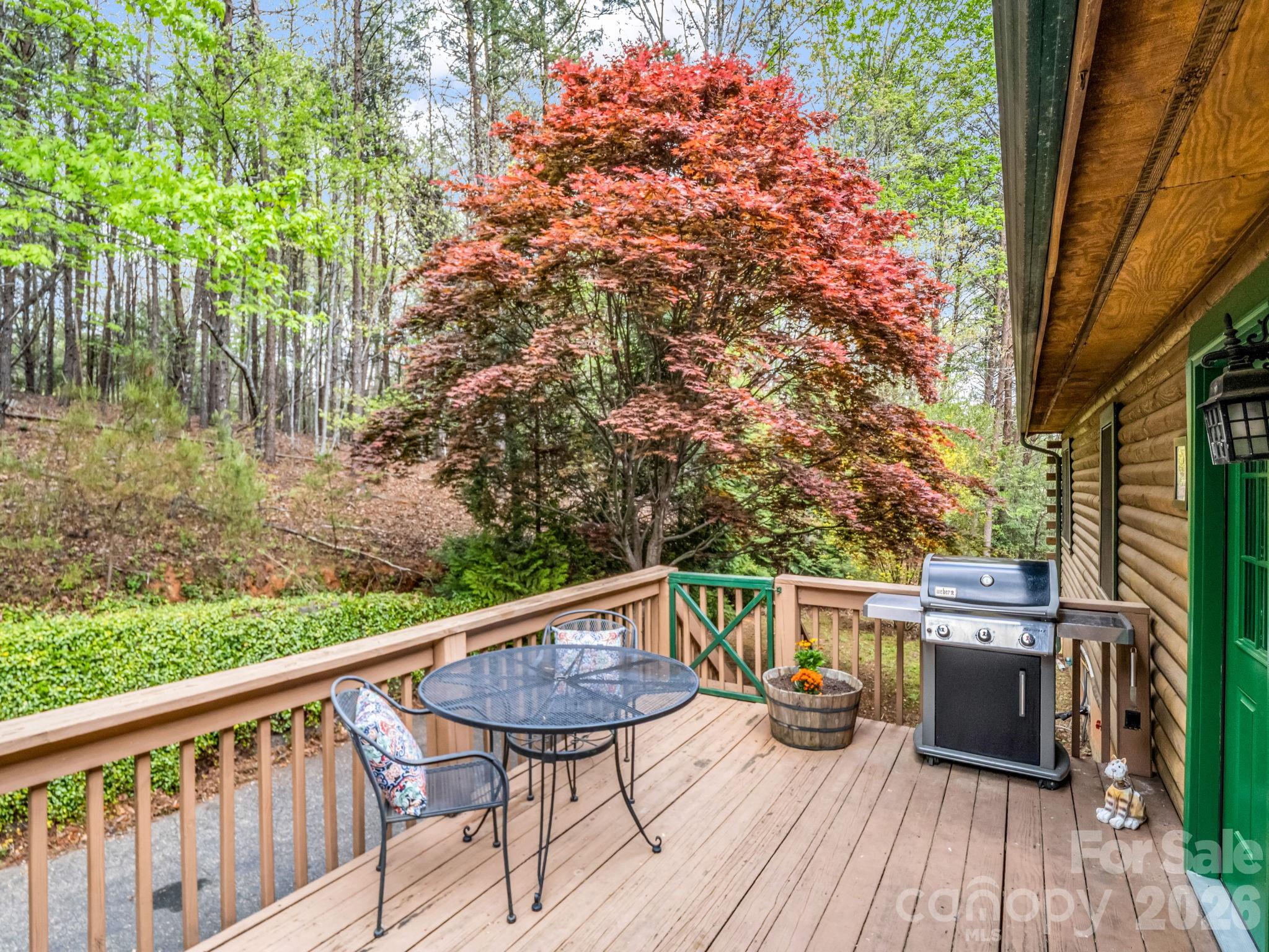 233 Shumont Estates Road — Lake Lure