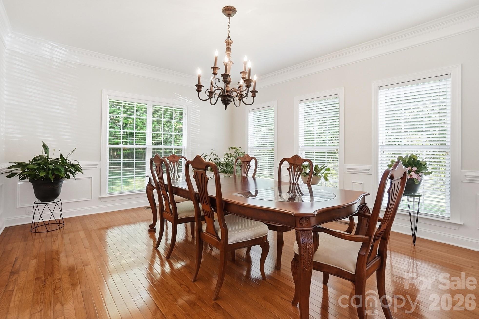807 Crown Vista Court — Wesley Chapel