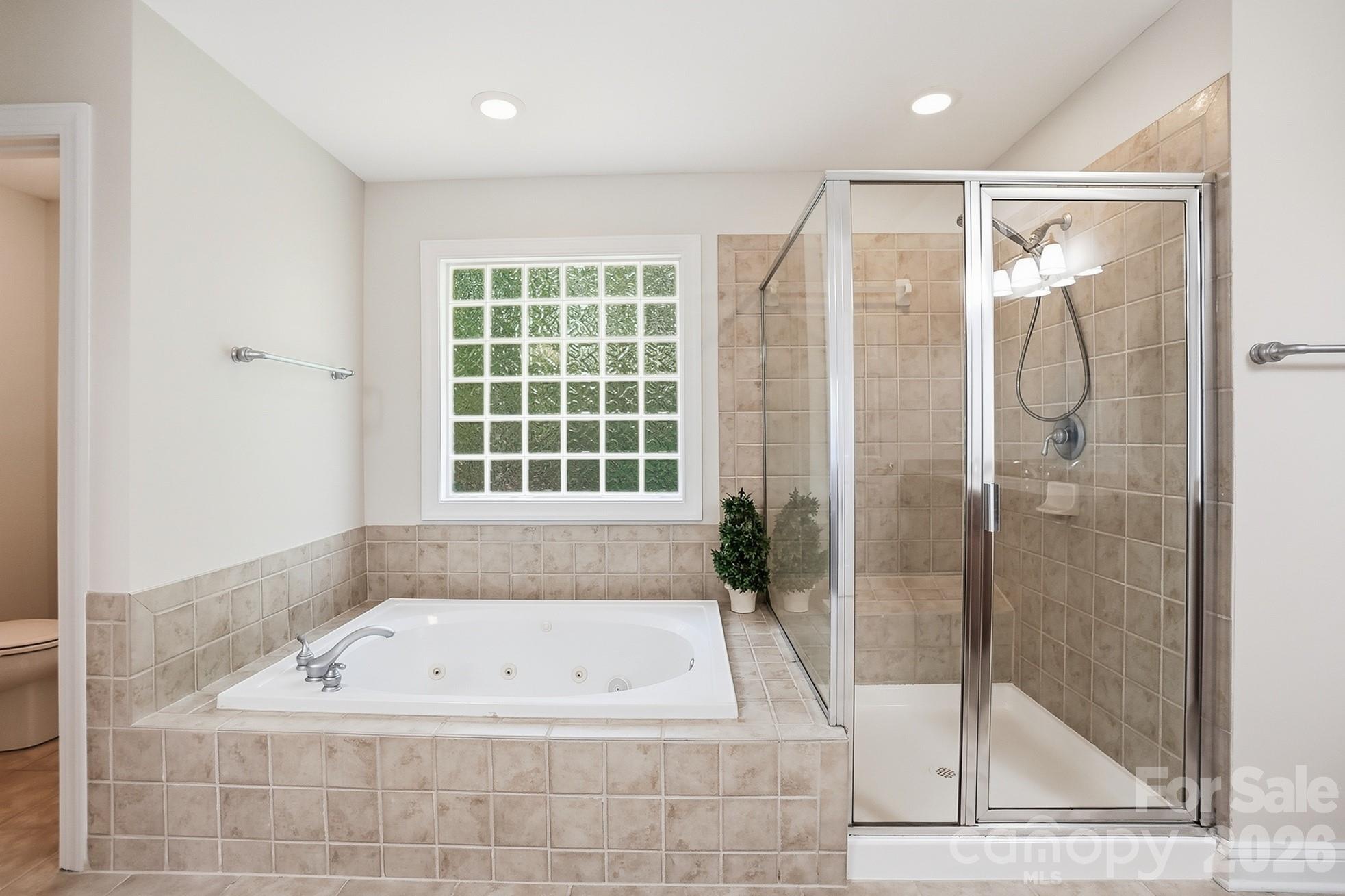 807 Crown Vista Court — Wesley Chapel