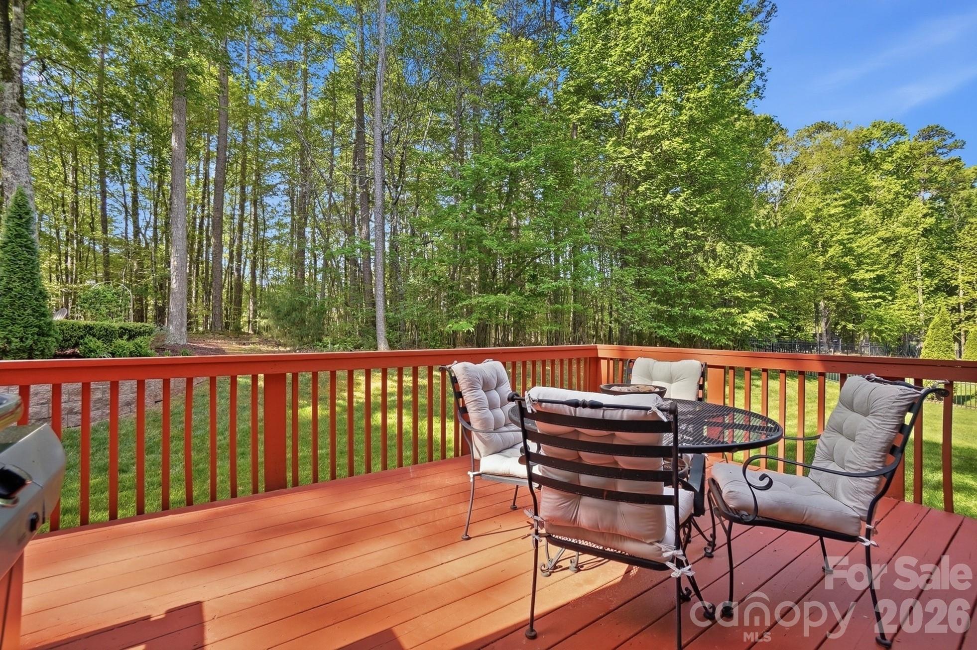 807 Crown Vista Court — Wesley Chapel