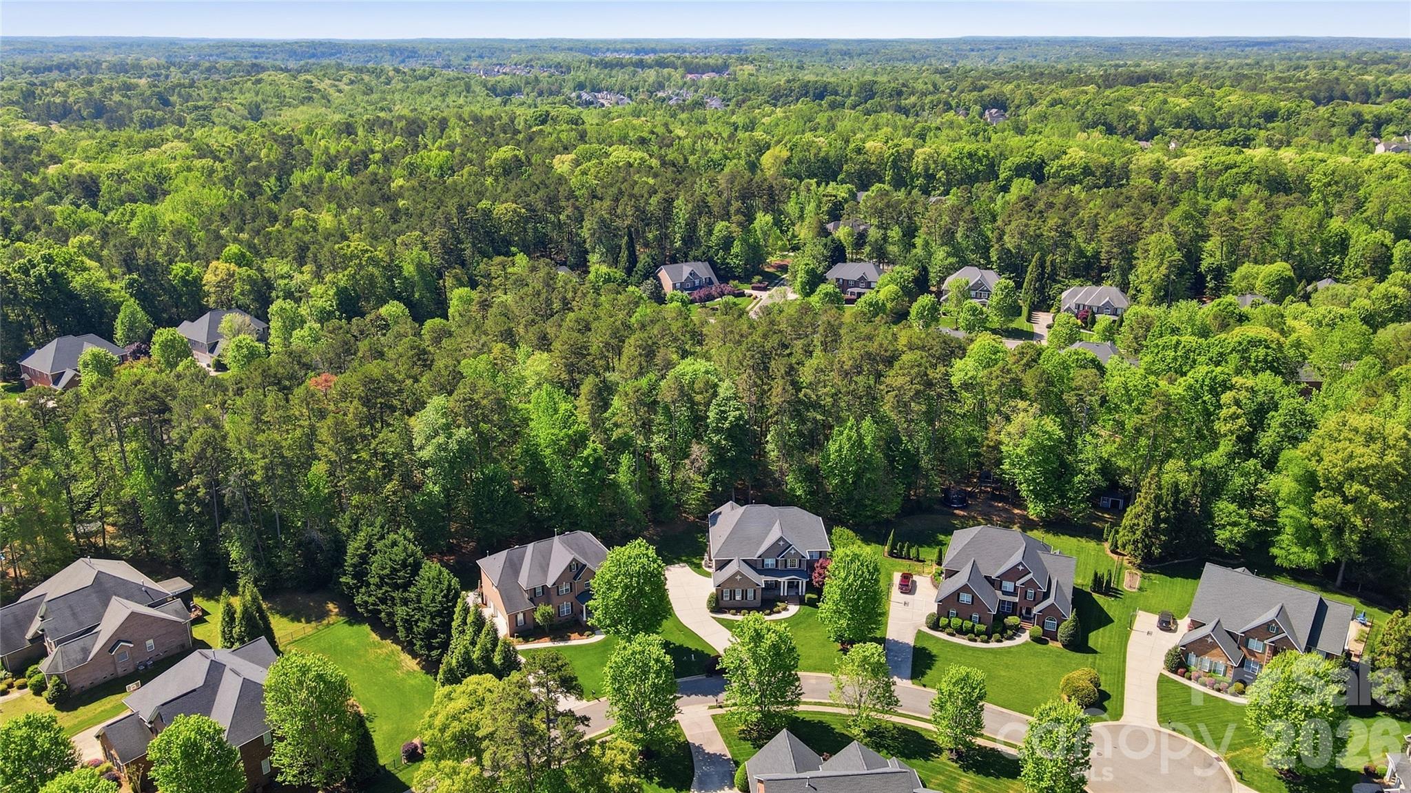 807 Crown Vista Court — Wesley Chapel