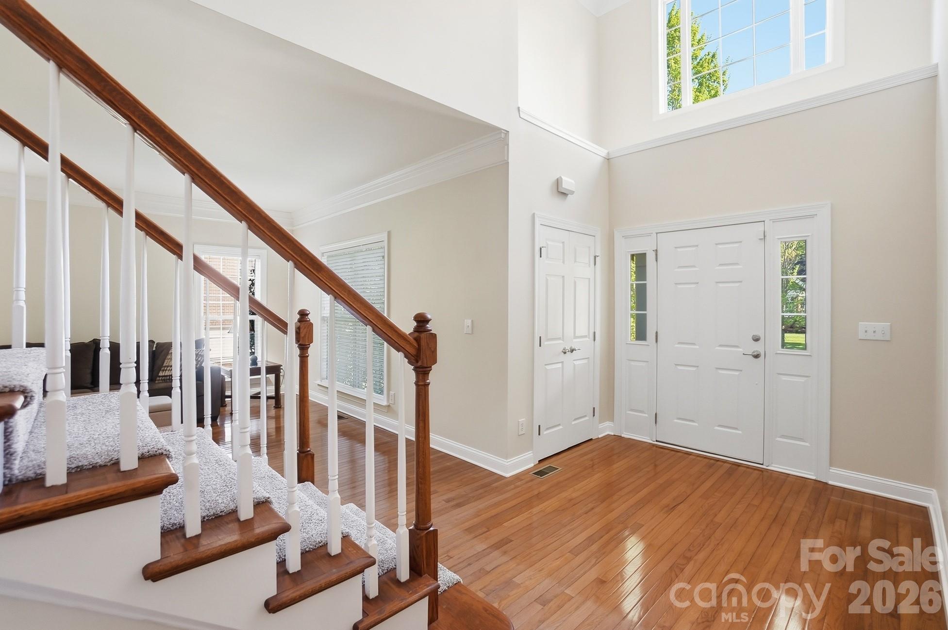 807 Crown Vista Court — Wesley Chapel
