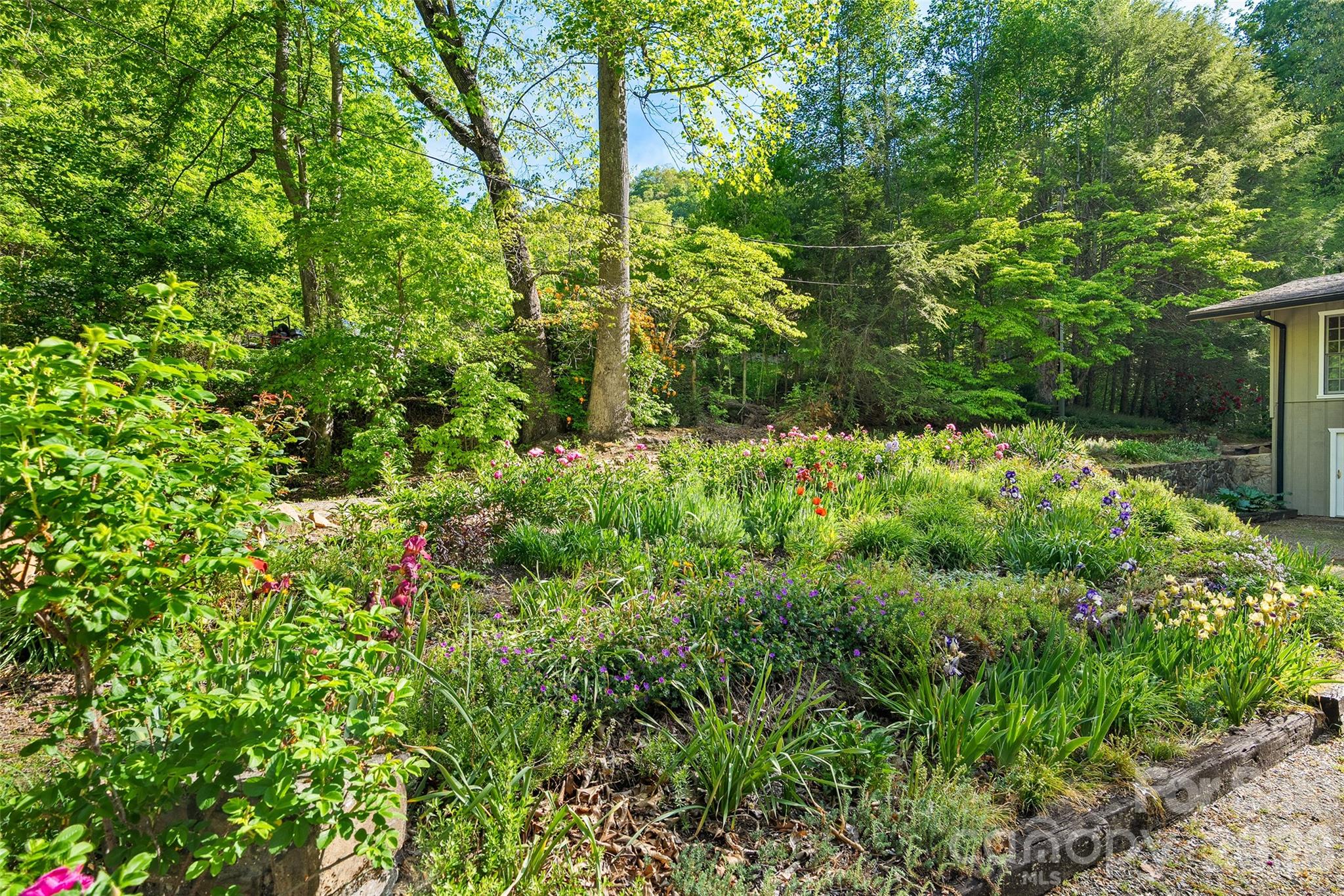 134 The Trail — Maggie Valley