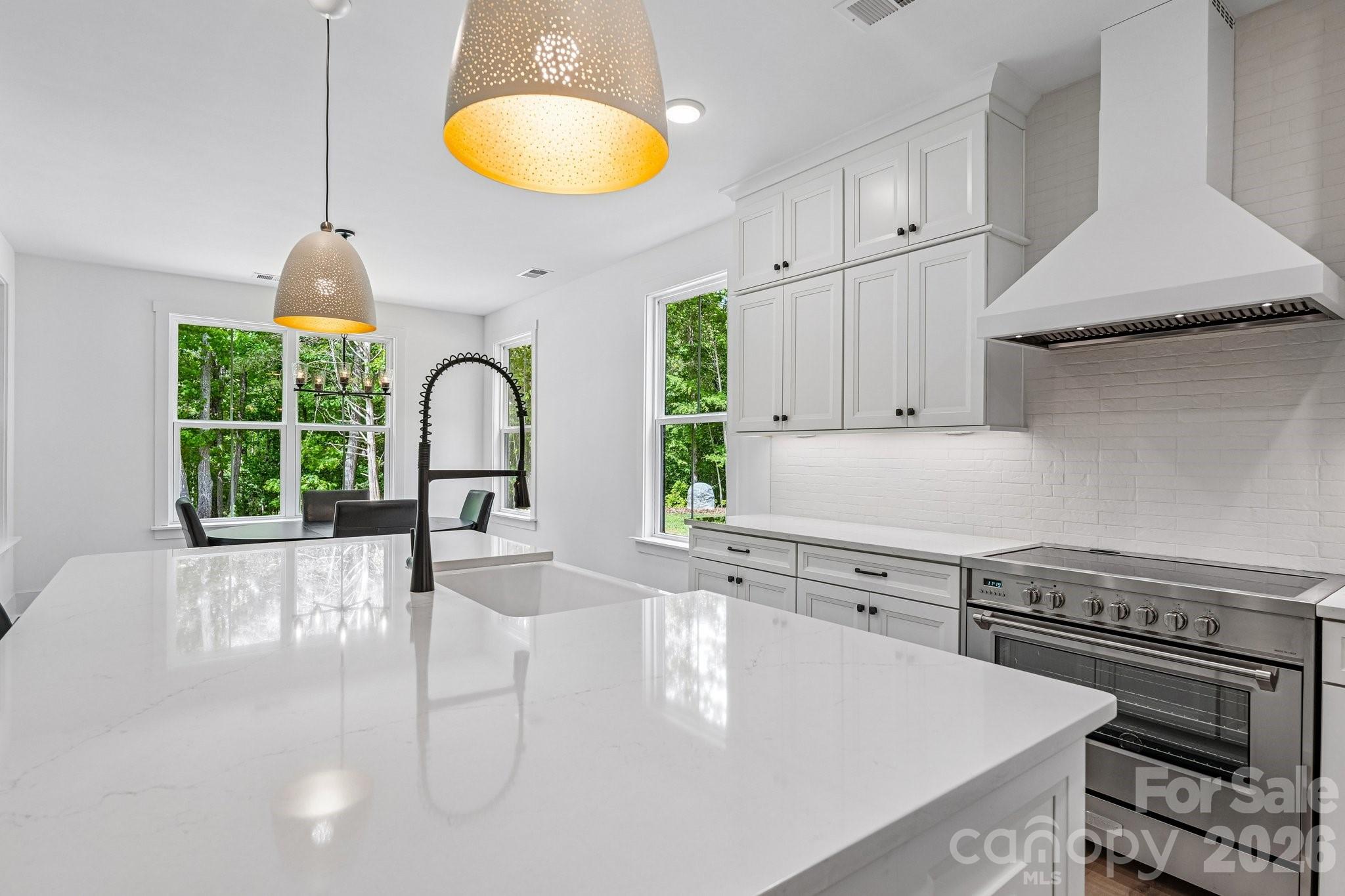 8049 Catawba cove Drive — Belmont