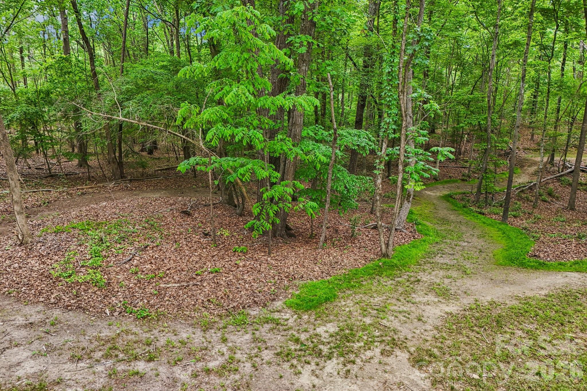 8049 Catawba cove Drive — Belmont